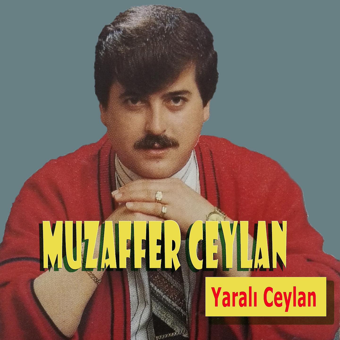 Постер альбома Yaralı Ceylan