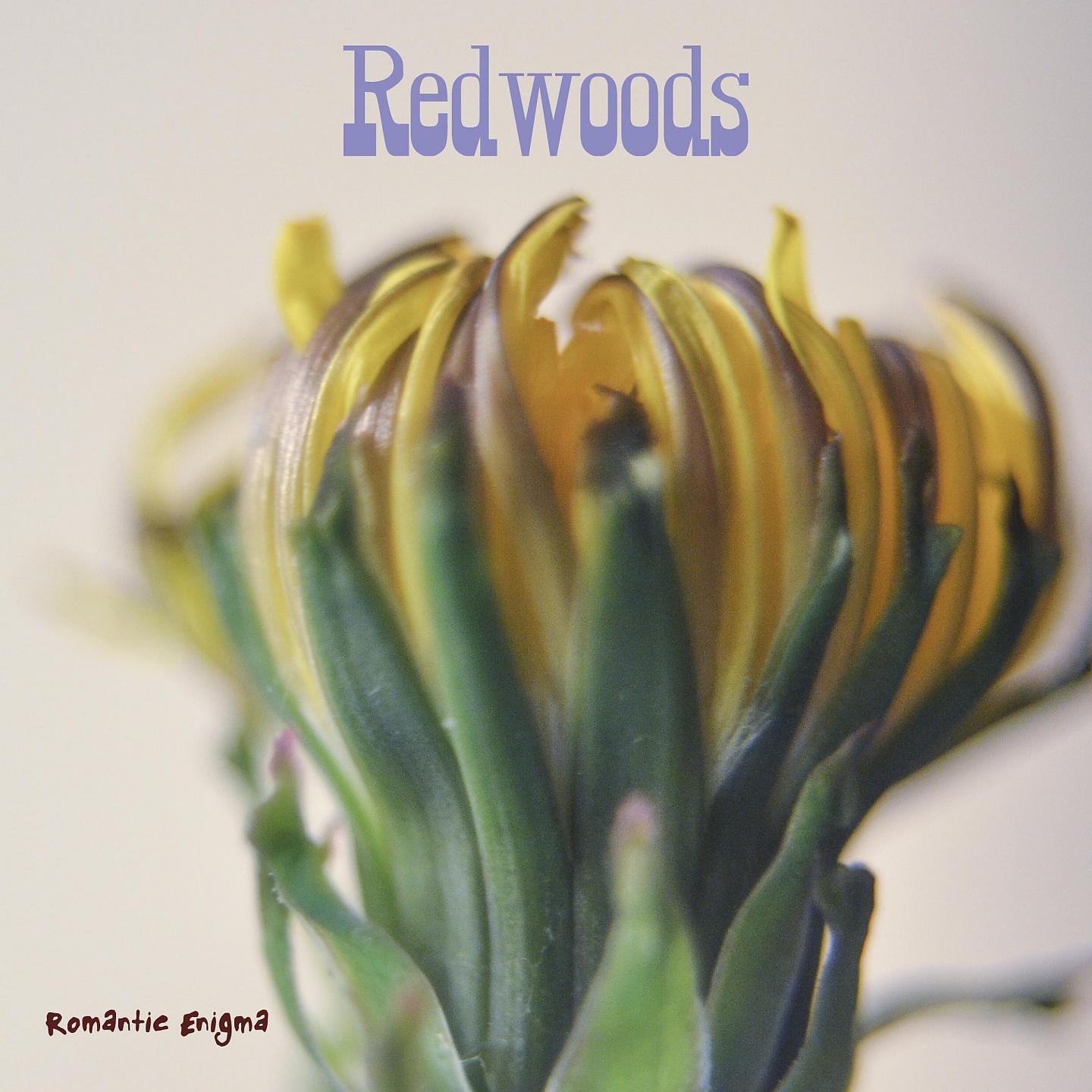 Постер альбома Redwoods
