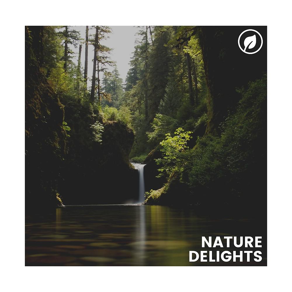 Постер альбома Nature Delights