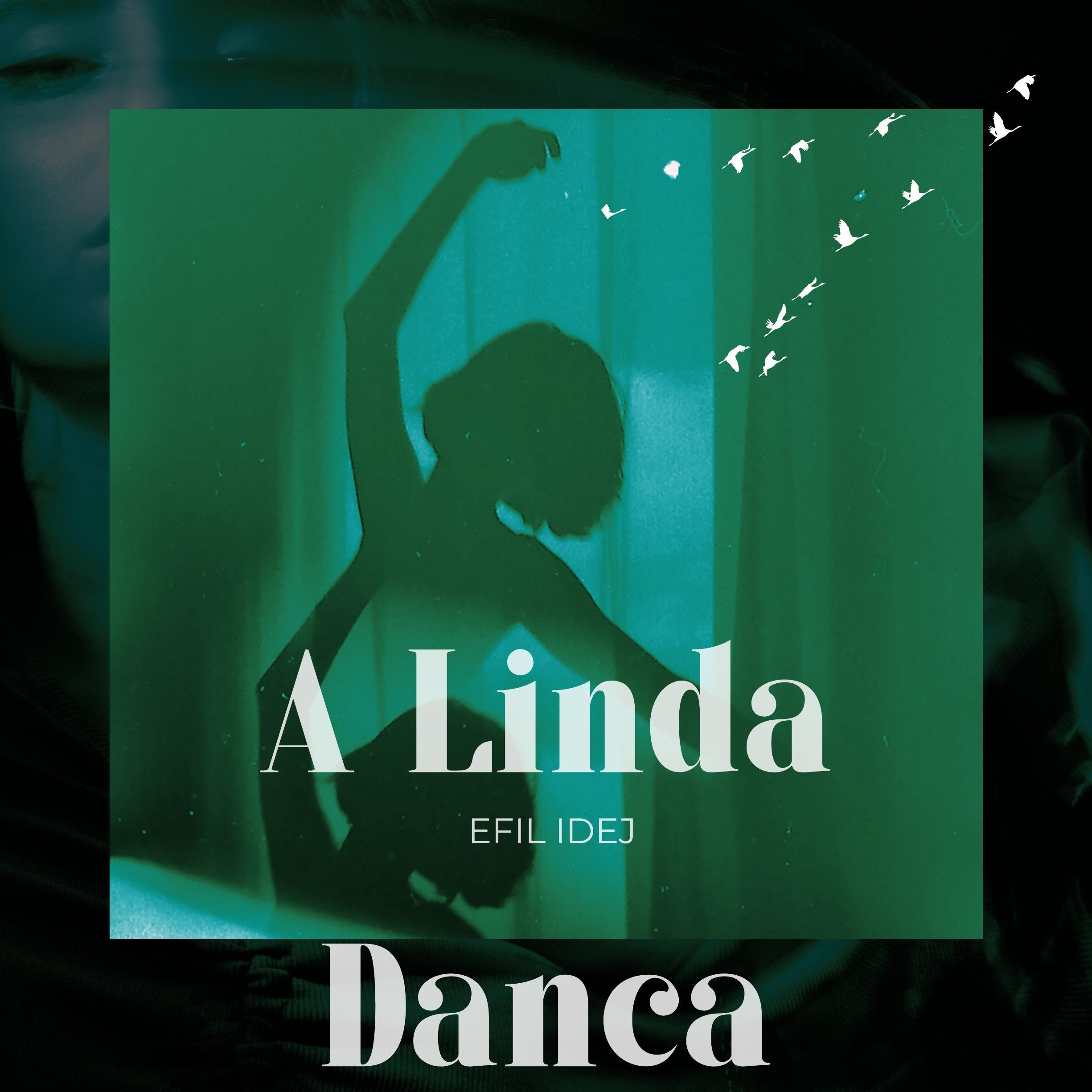 Постер альбома A Linda Danca