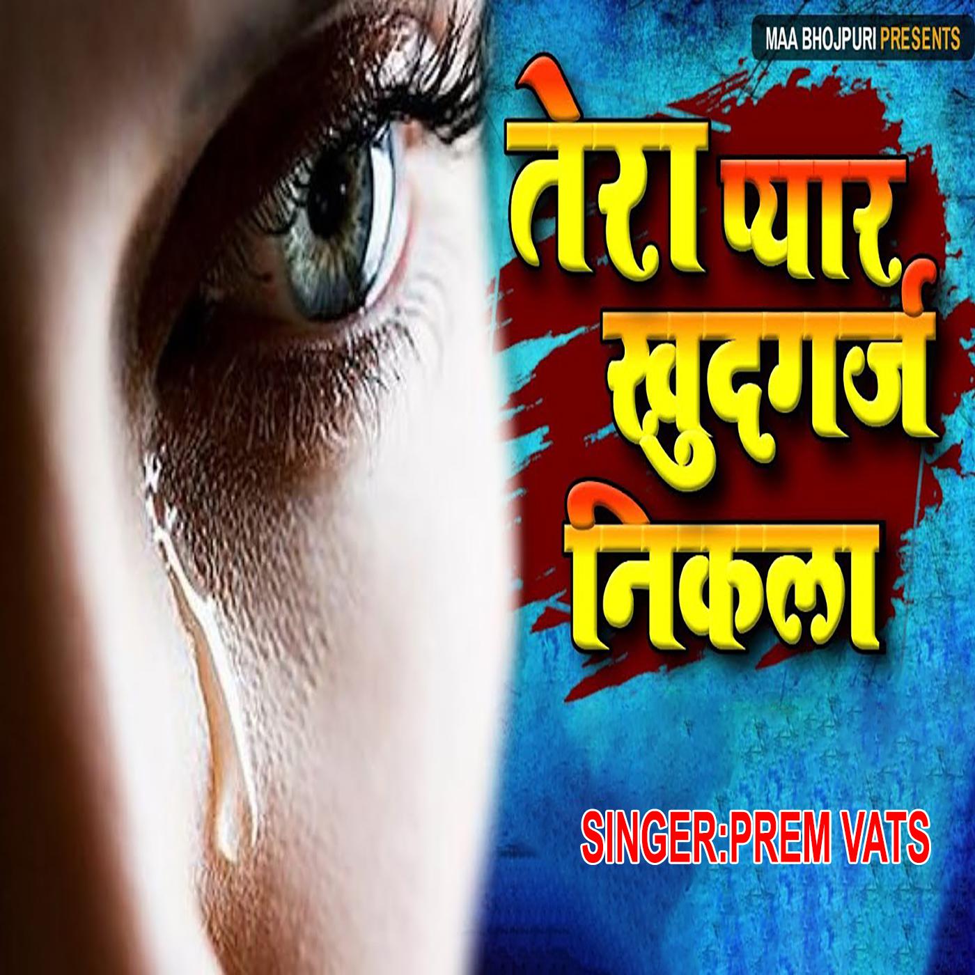 Постер альбома Tera Pyar Khudgarj Nikala
