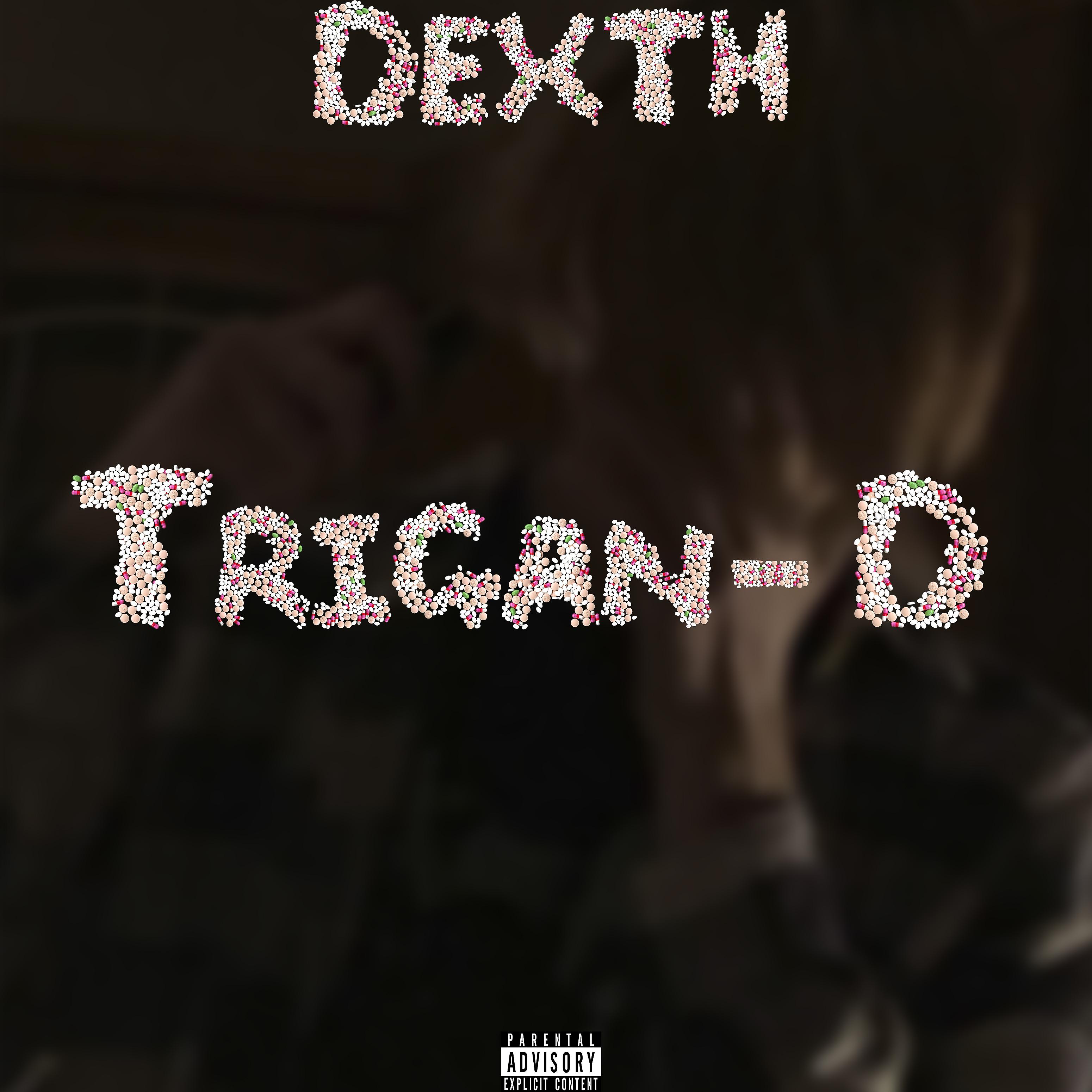 Постер альбома Trigan-D