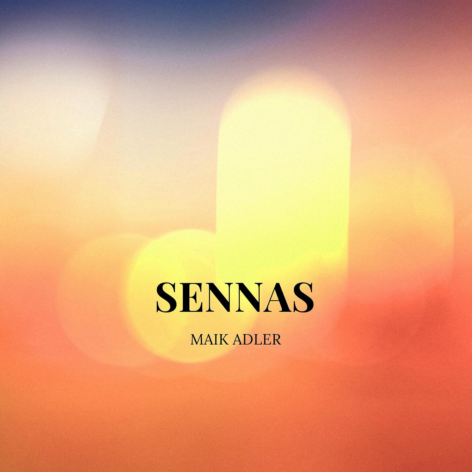 Постер альбома Sennas