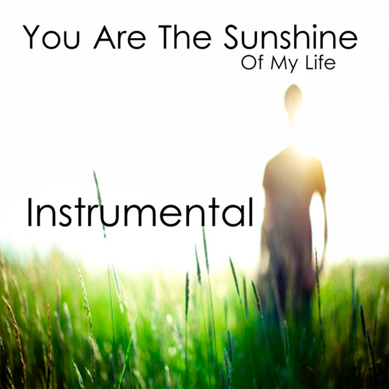 Постер альбома You Are the Sunshine of My Life: Instrumental