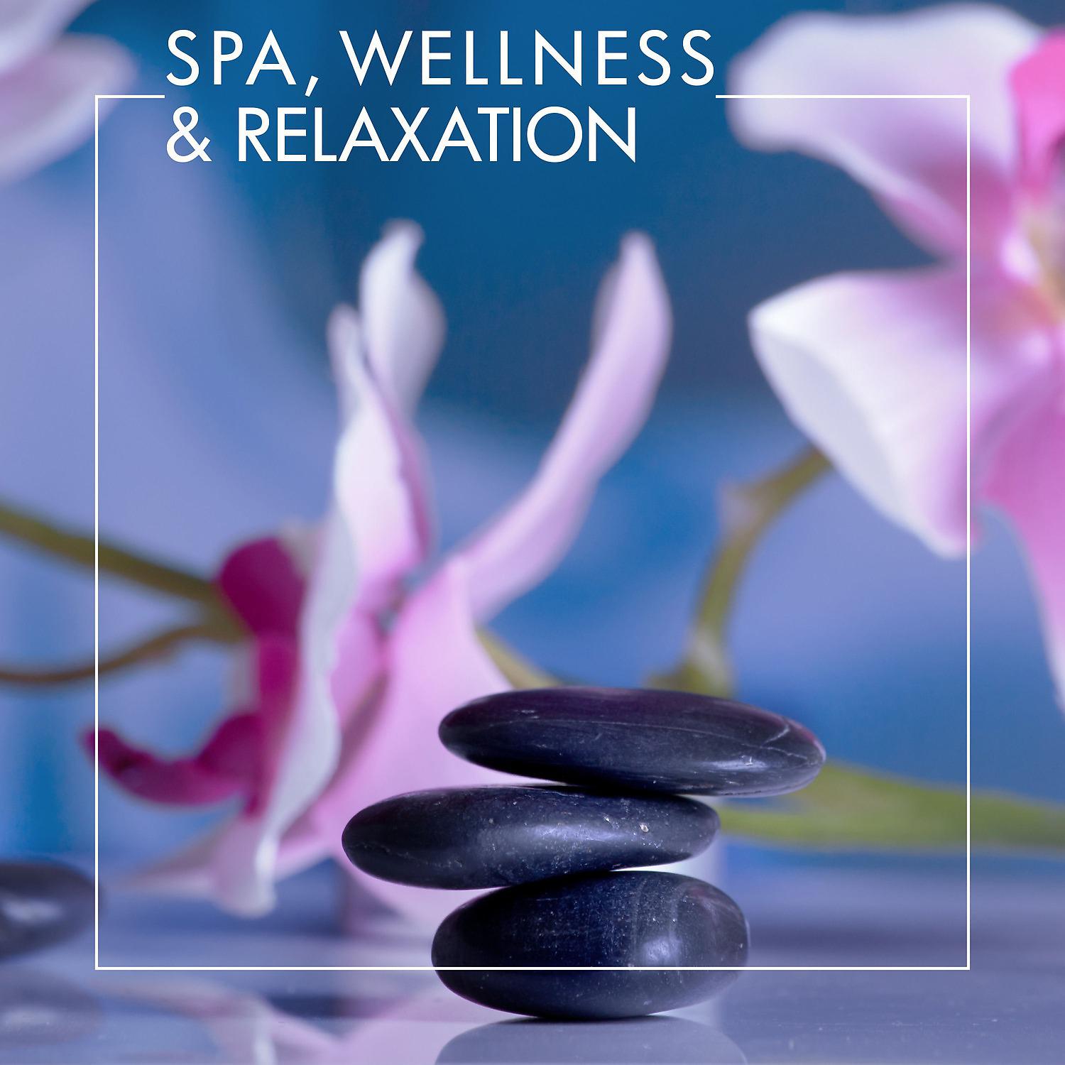 Постер альбома Spa, Wellness & Relaxation