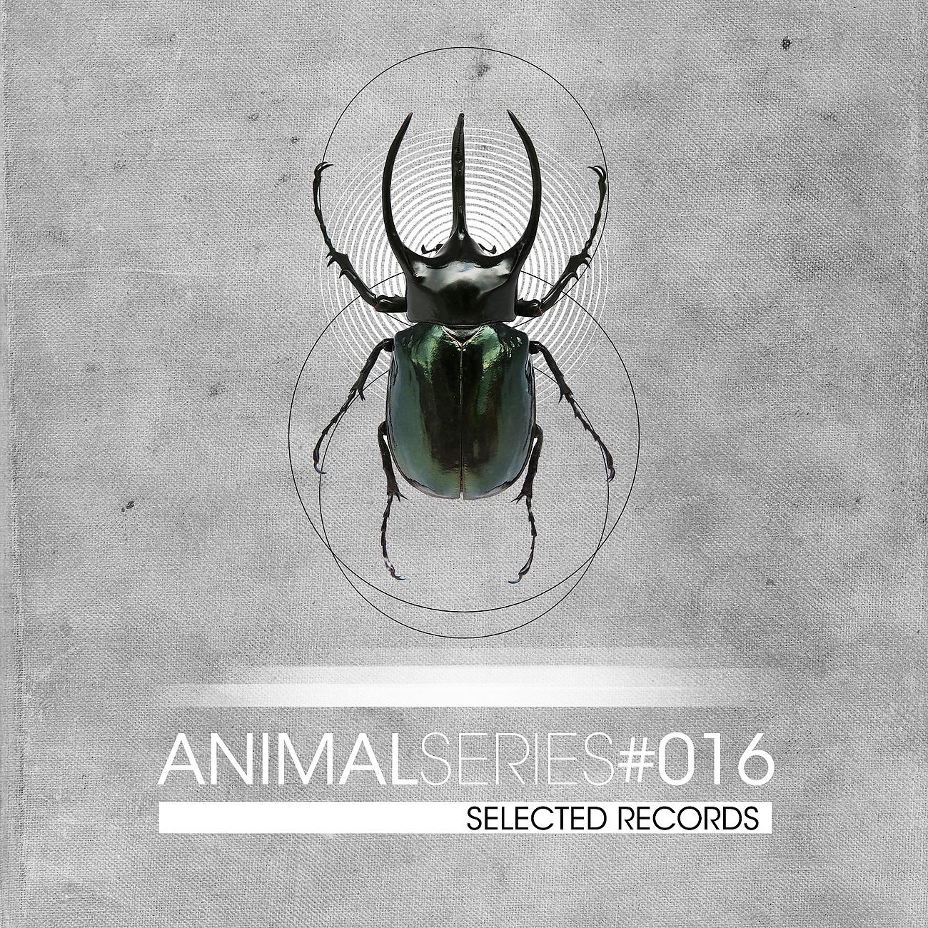 Постер альбома Animal Series 016