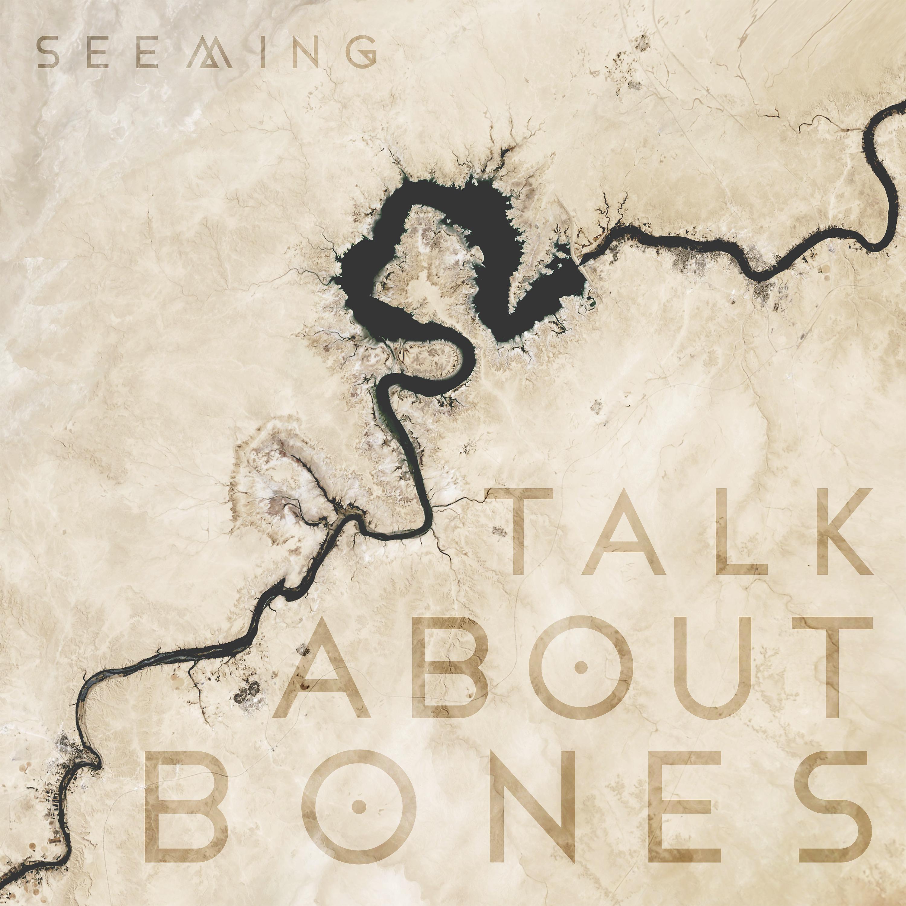 Постер альбома Talk About Bones