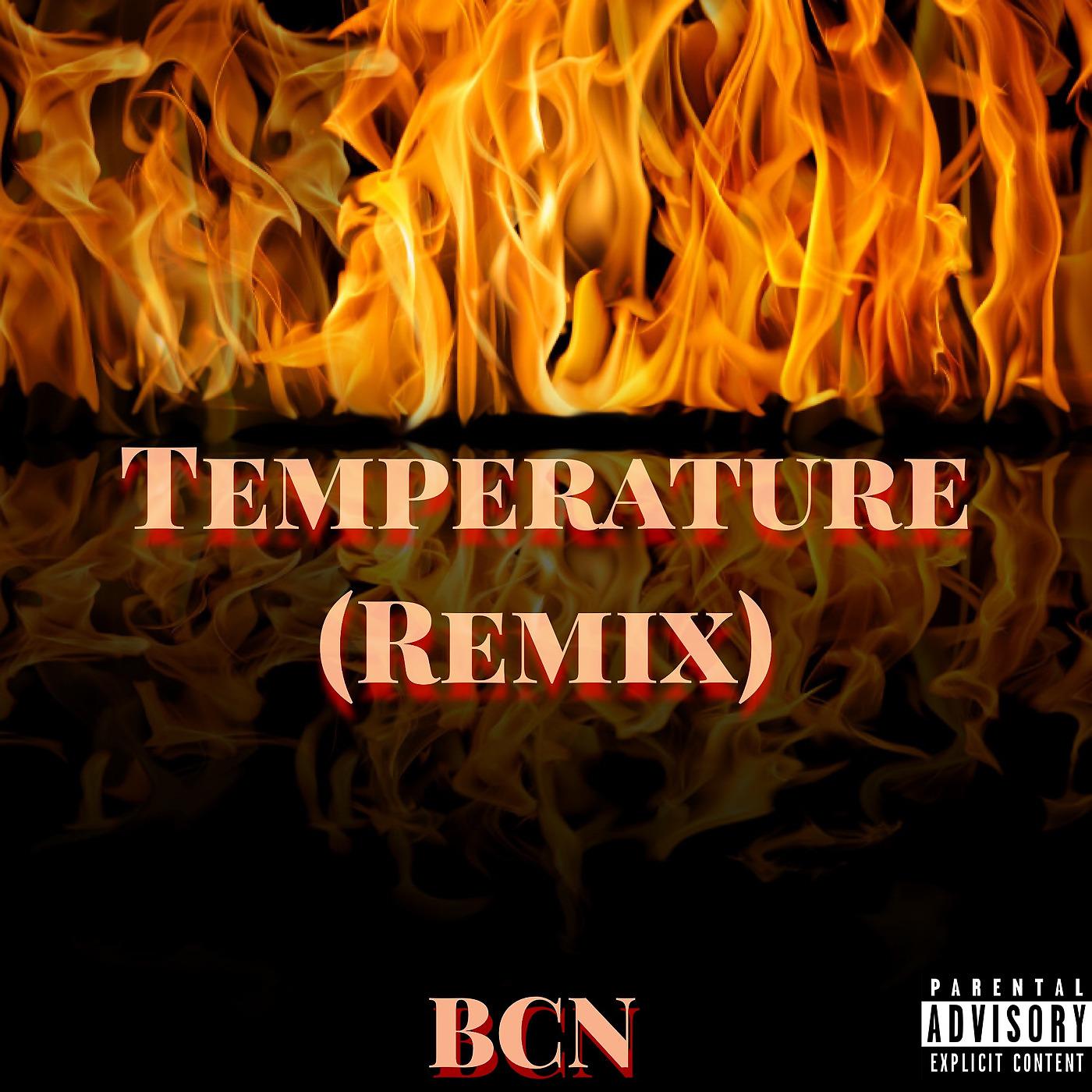 Постер альбома Temperature (Remix)