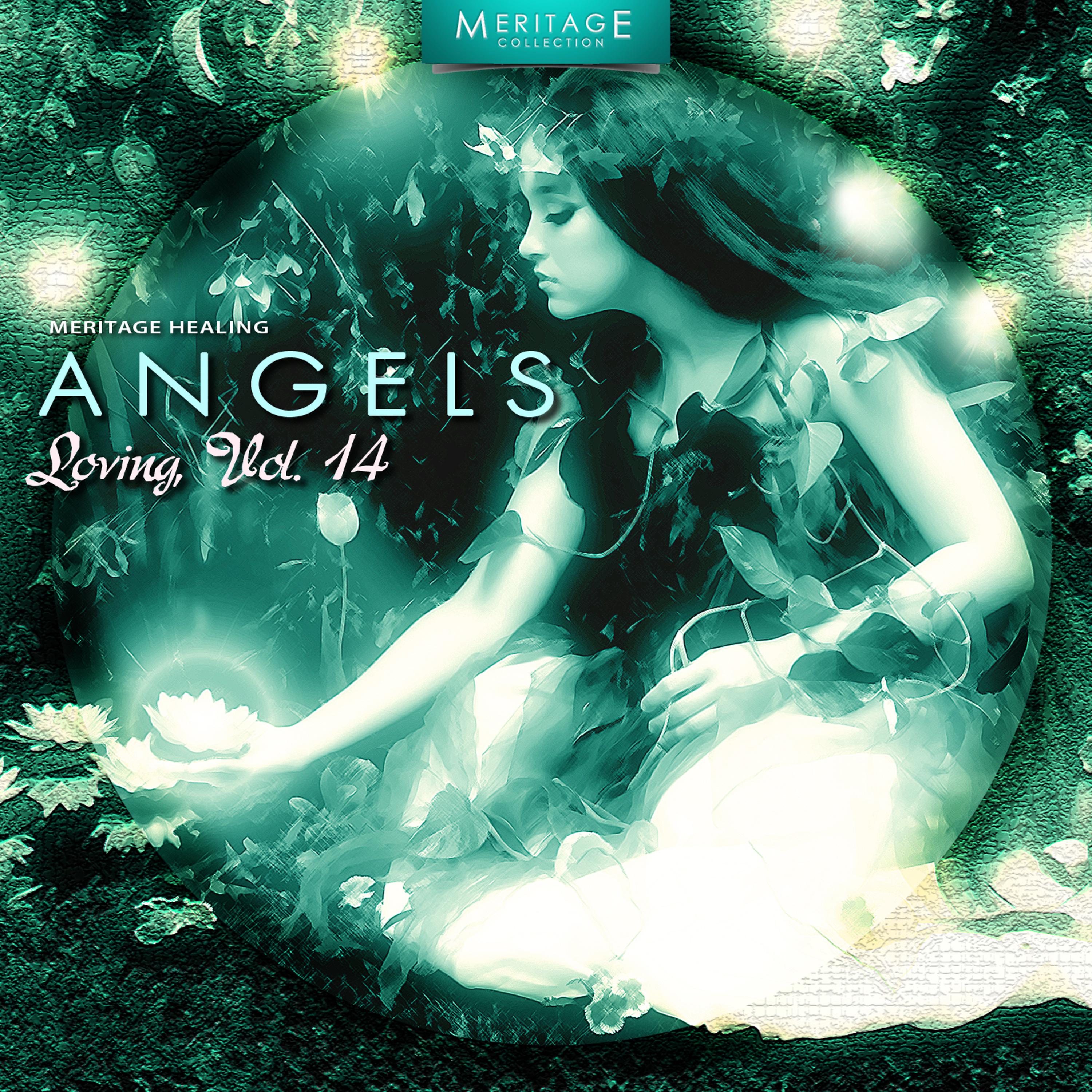 Постер альбома Meritage Healing: Angels (Loving), Vol. 14
