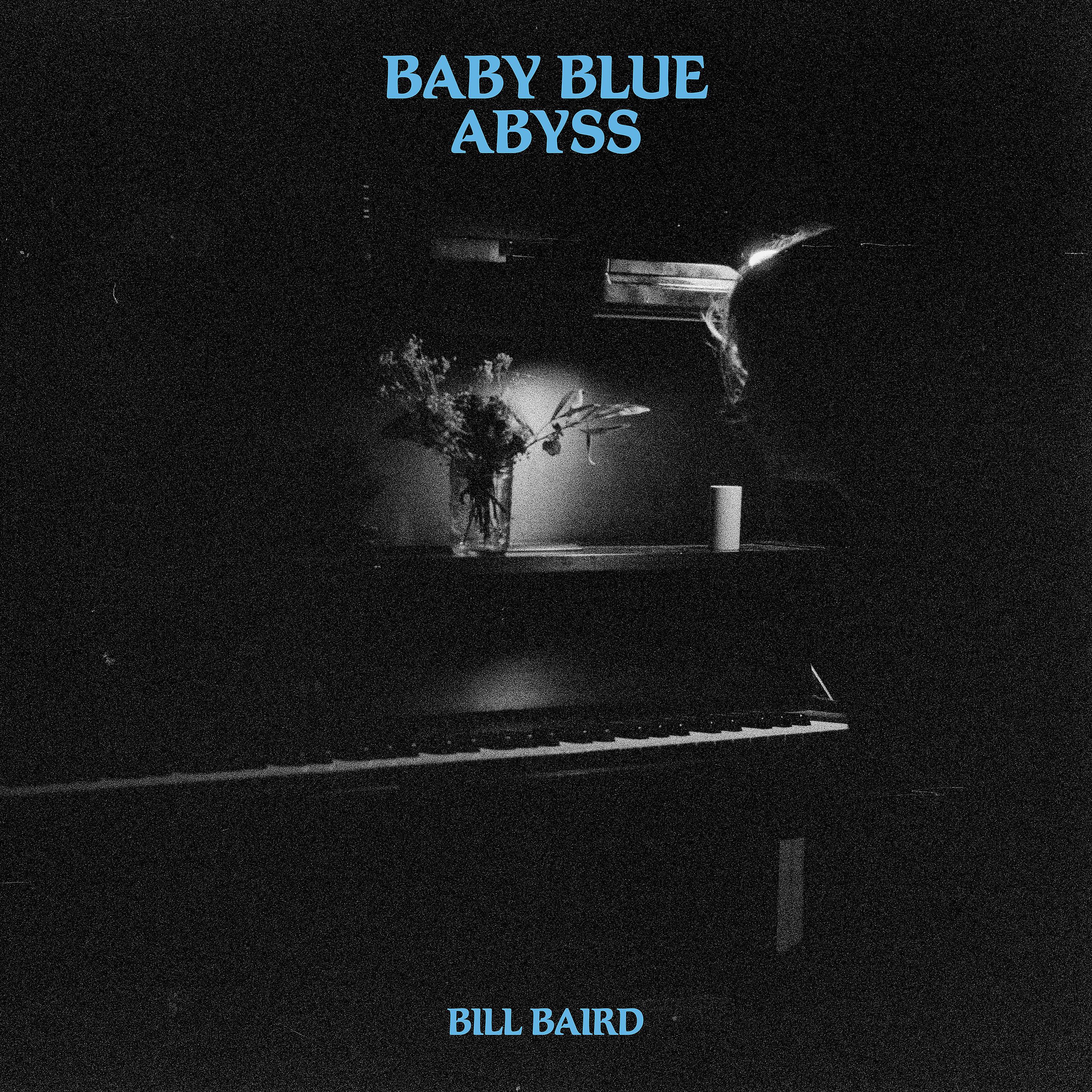 Постер альбома Baby Blue Abyss