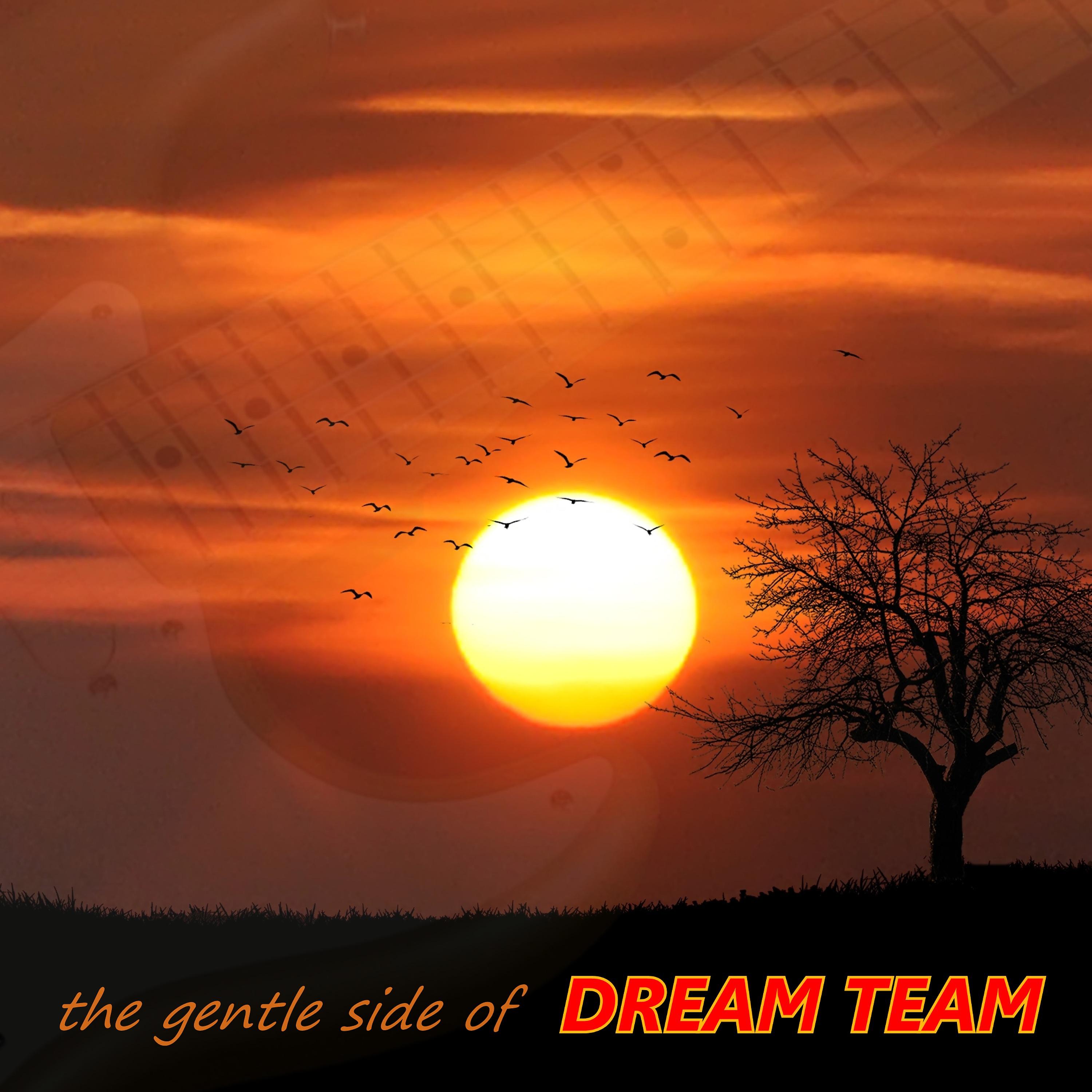 Постер альбома The Gentle Side of Dream Team