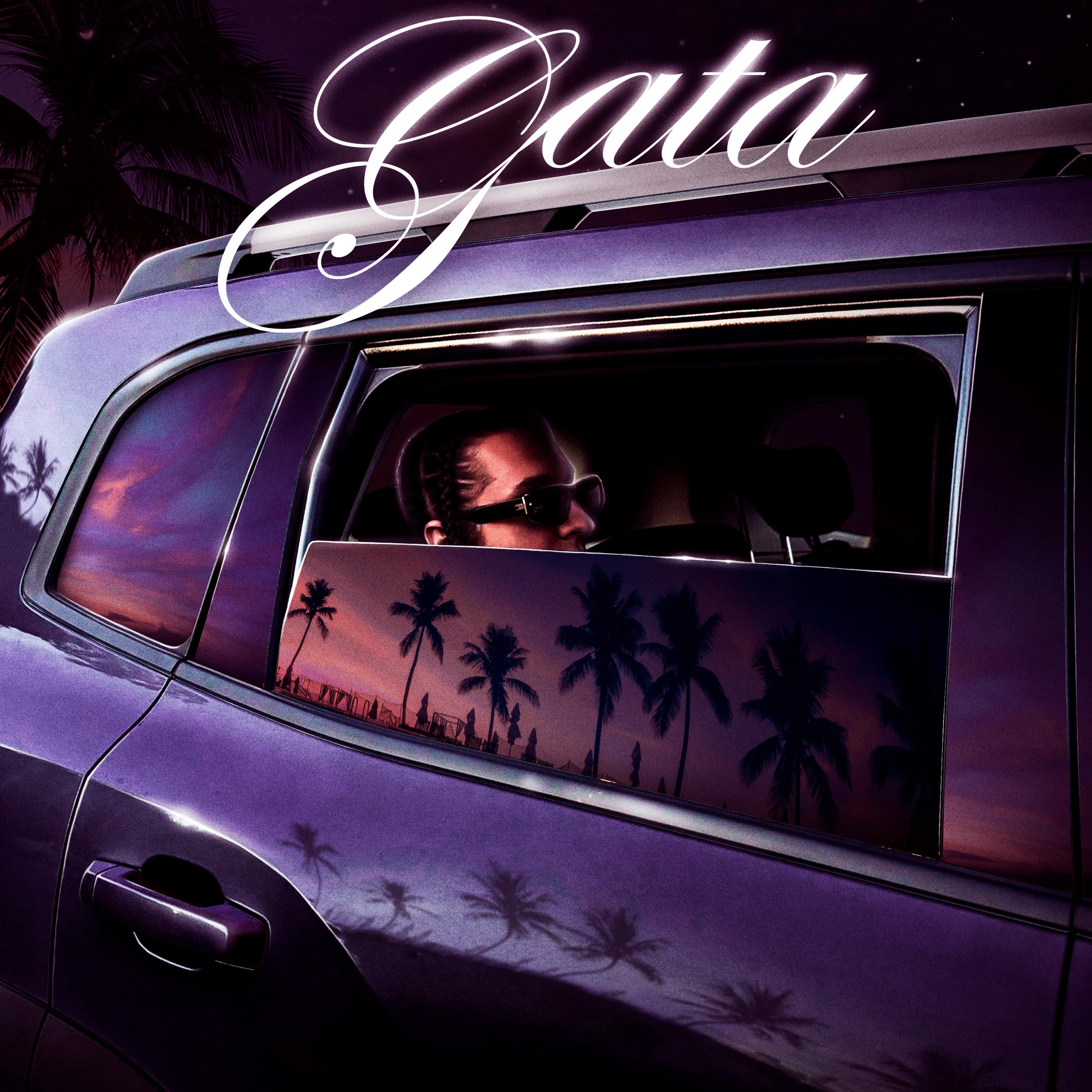 Постер альбома GATA