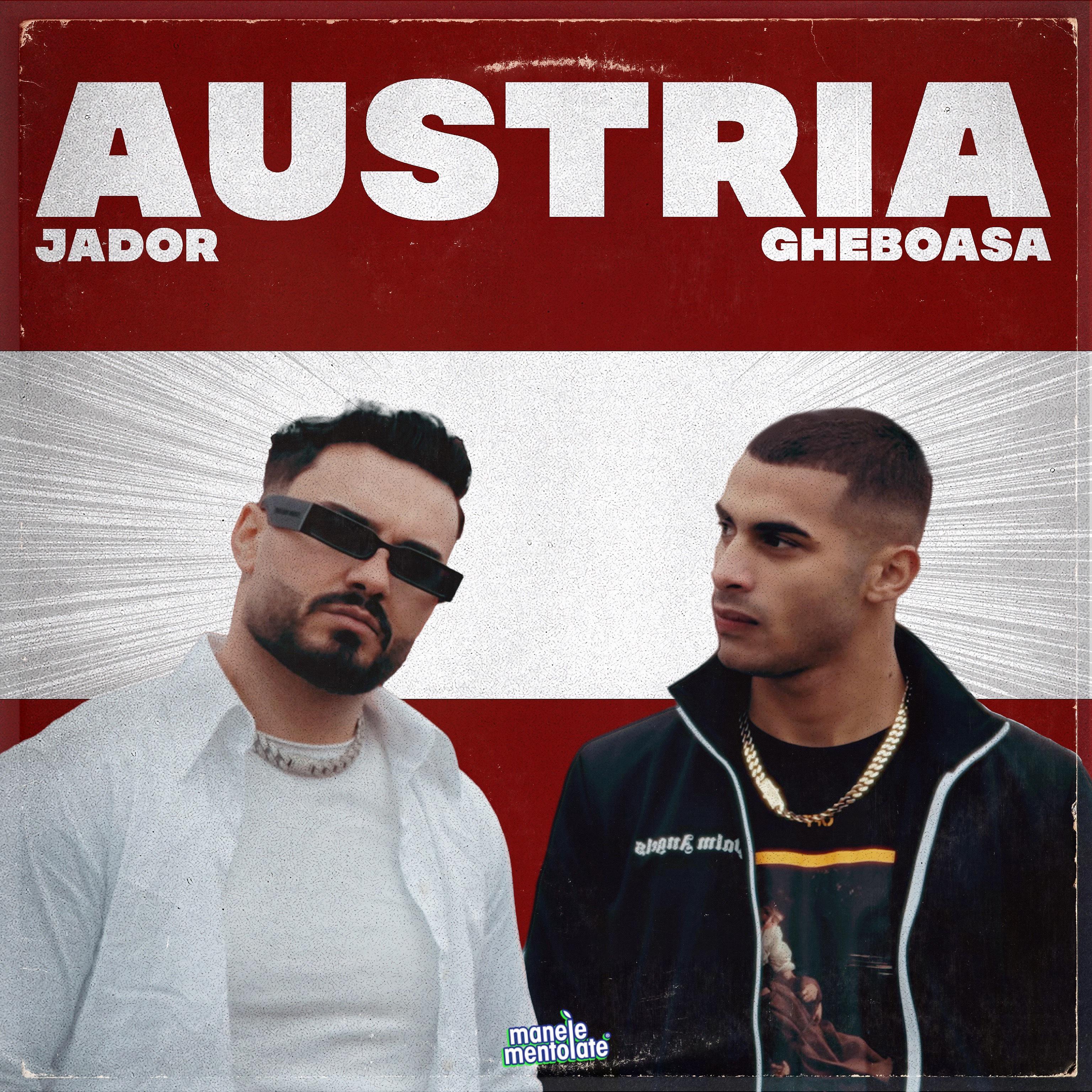 Постер альбома Austria