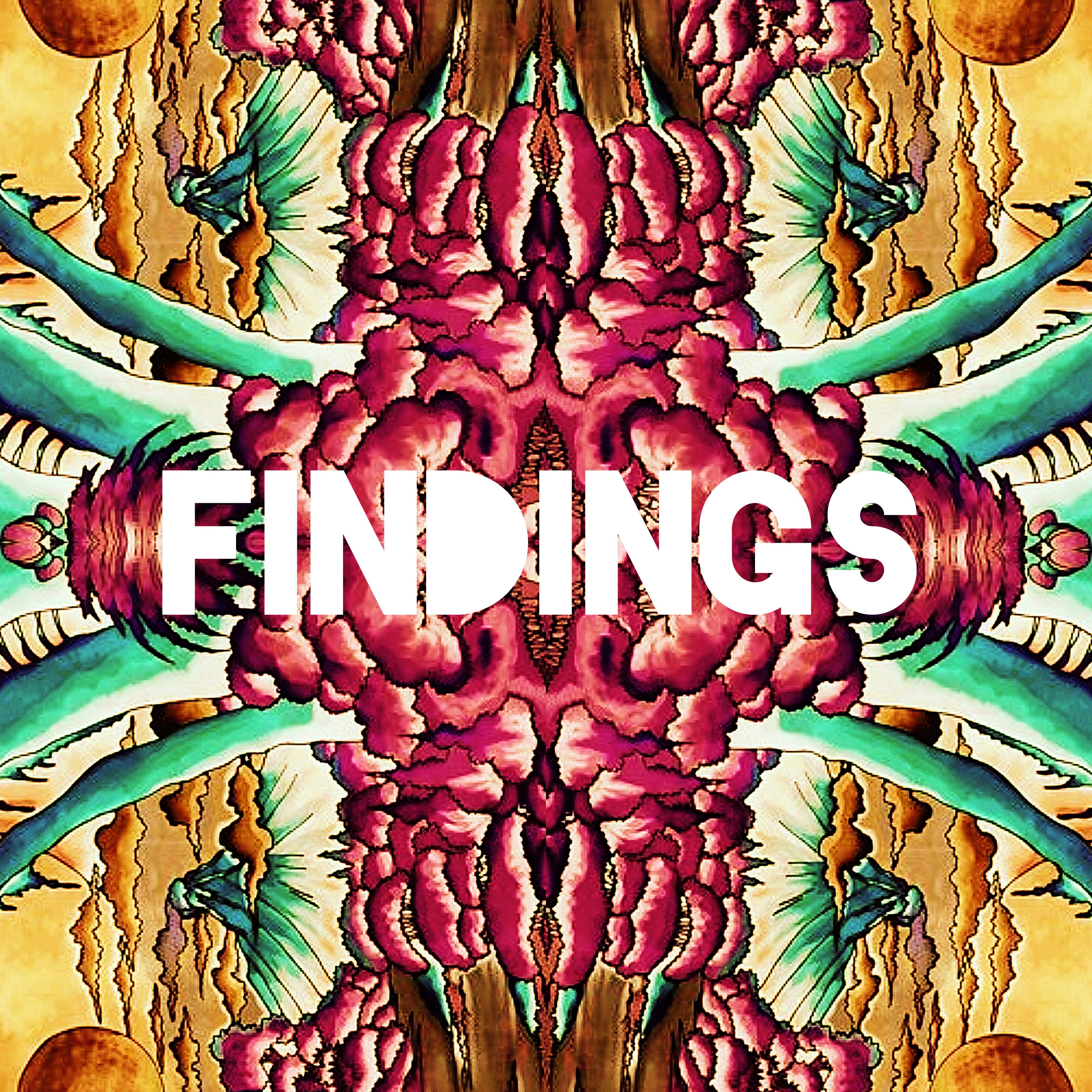 Постер альбома Findings