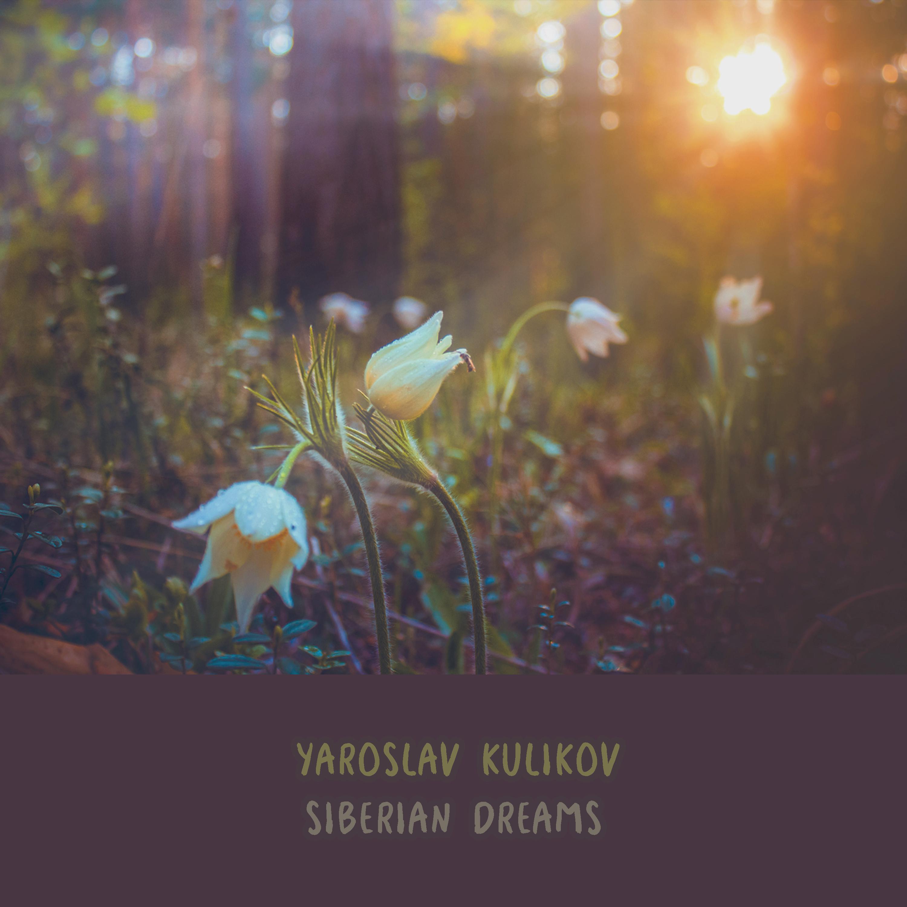 Постер альбома Siberian Dreams
