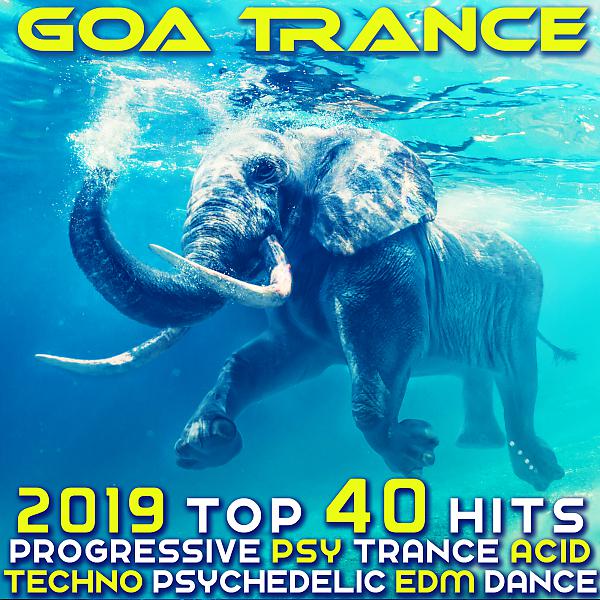 Постер альбома Goa Trance 2019 - Top 40 Hits Best of Progressive PsyTrance Acid Techno Psychedelic EDM Dance