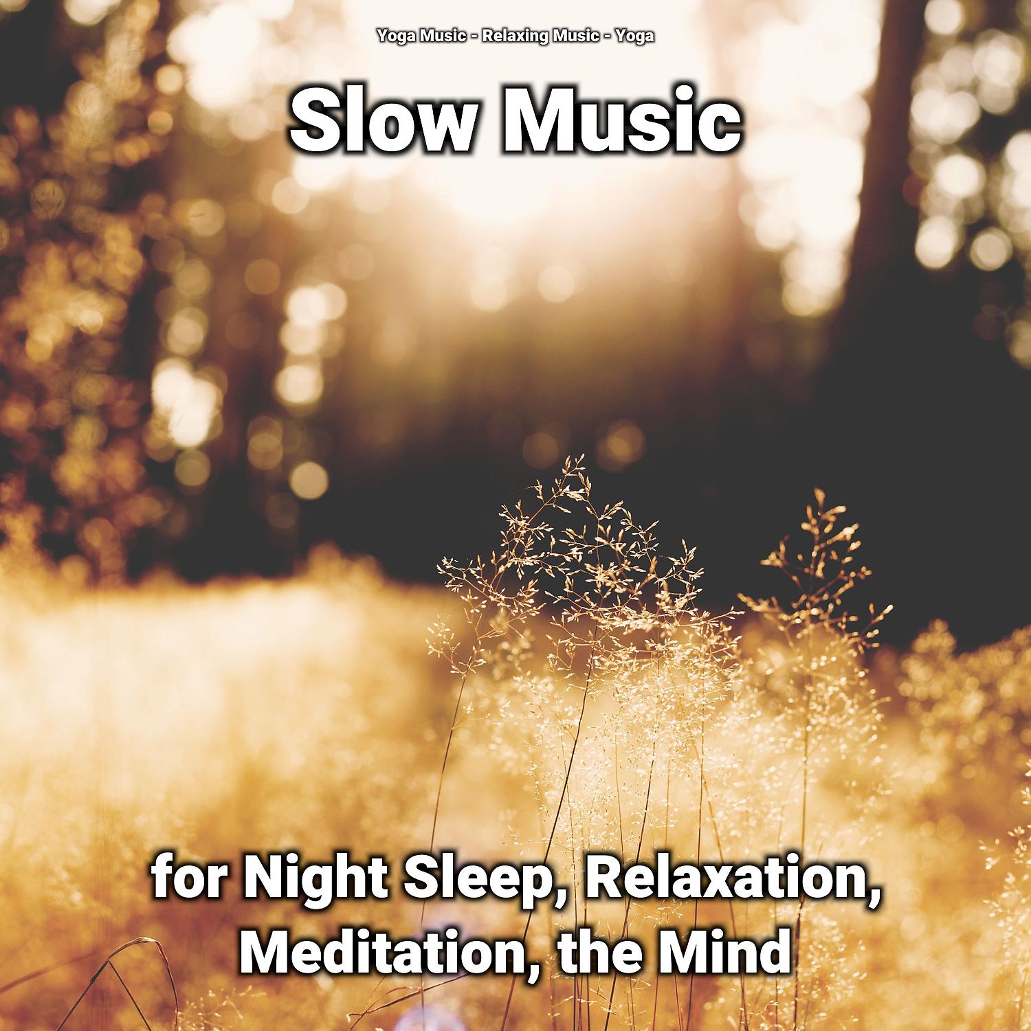 Постер альбома Slow Music for Night Sleep, Relaxation, Meditation, the Mind