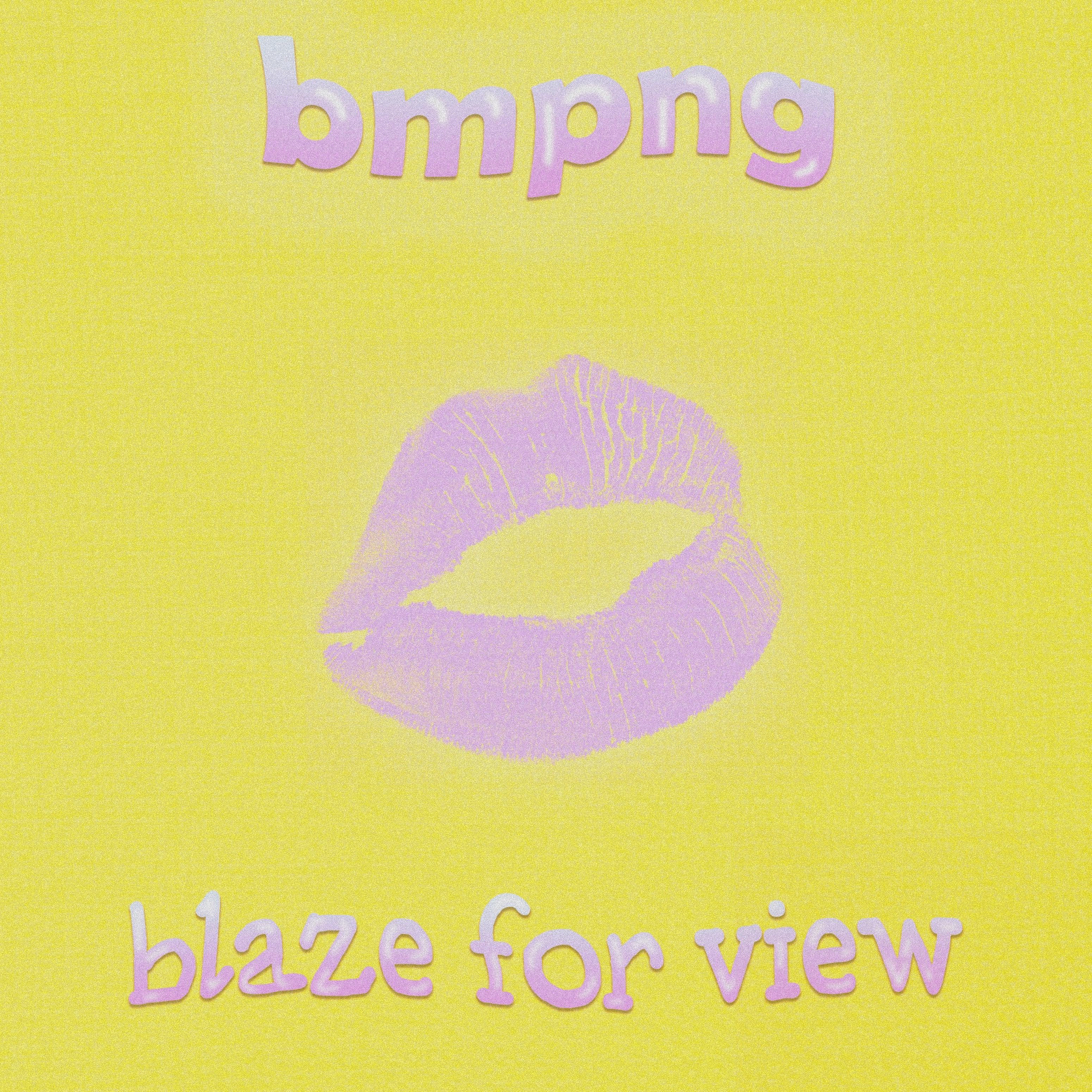 Постер альбома Blaze for View