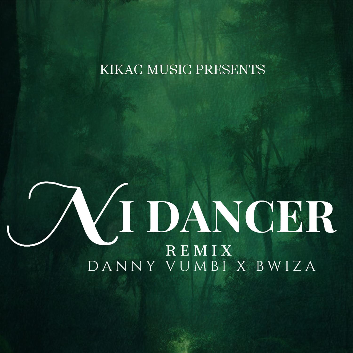 Постер альбома Ni Danger (Remix)