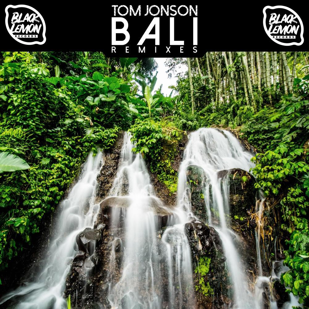 Постер альбома Bali (Remixes)