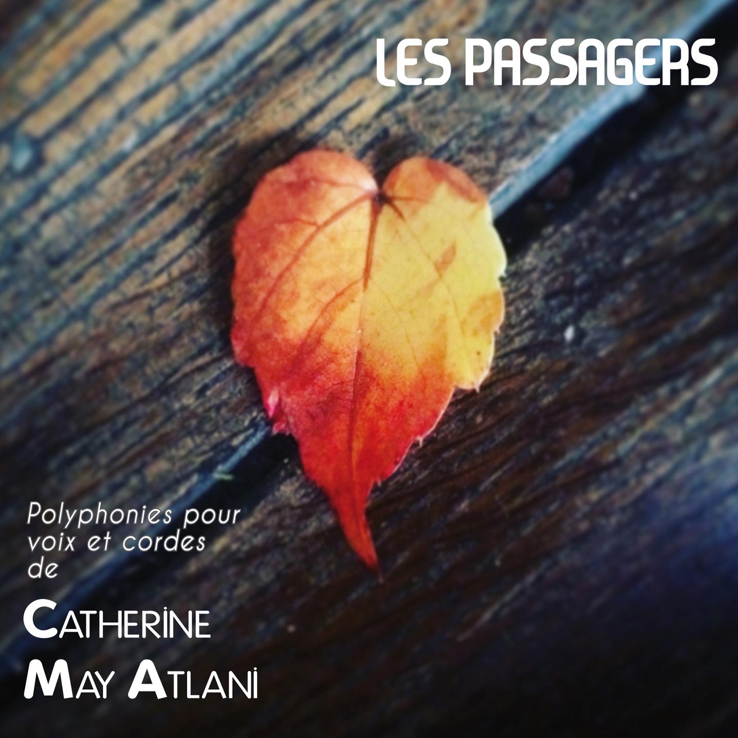 Постер альбома Les passagers