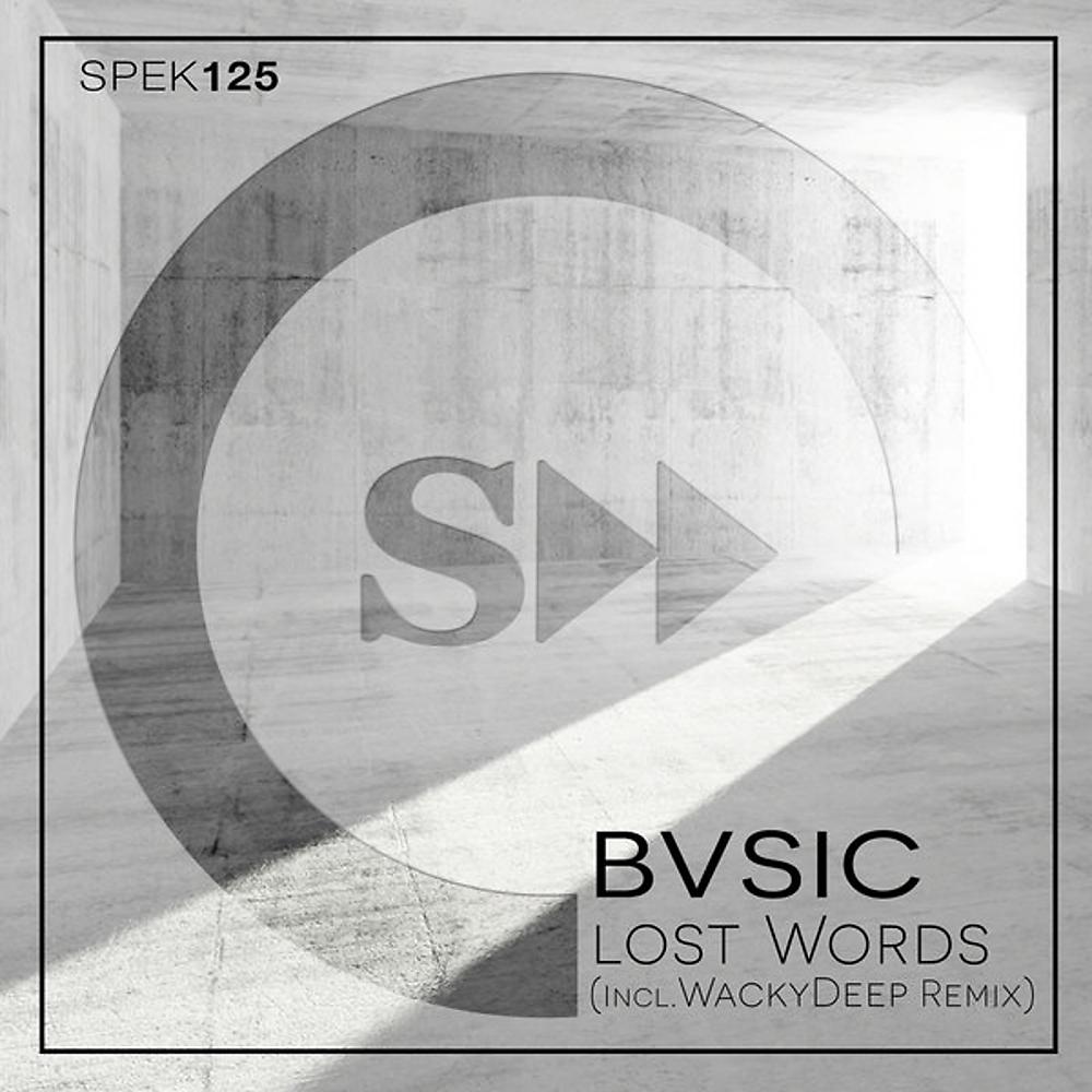 Постер альбома Lost Word (incl.WAcky Deep Remix)