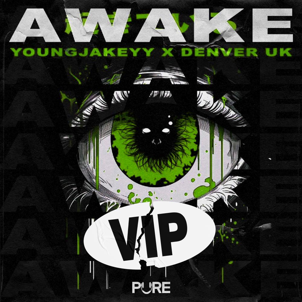 Постер альбома Awake VIP