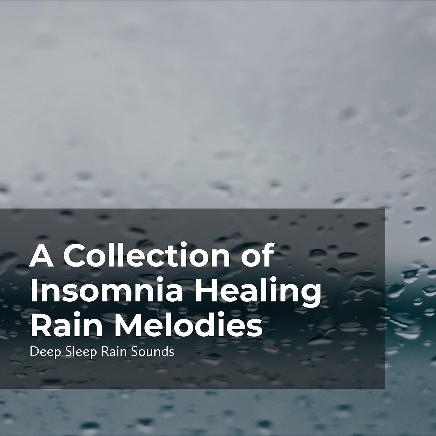 Постер альбома Insomnia Healing Rain Melodies