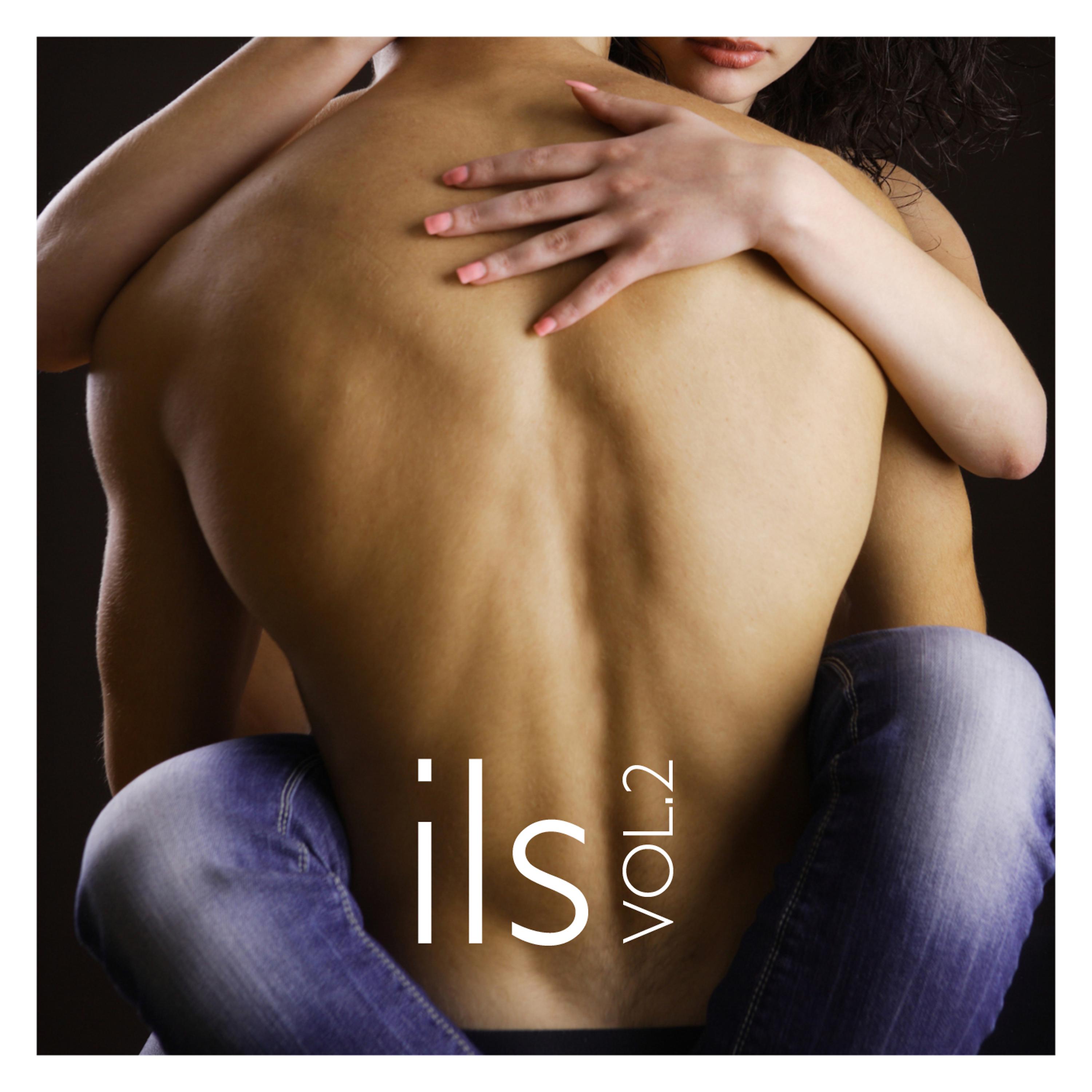 Постер альбома Ils vol. 2
