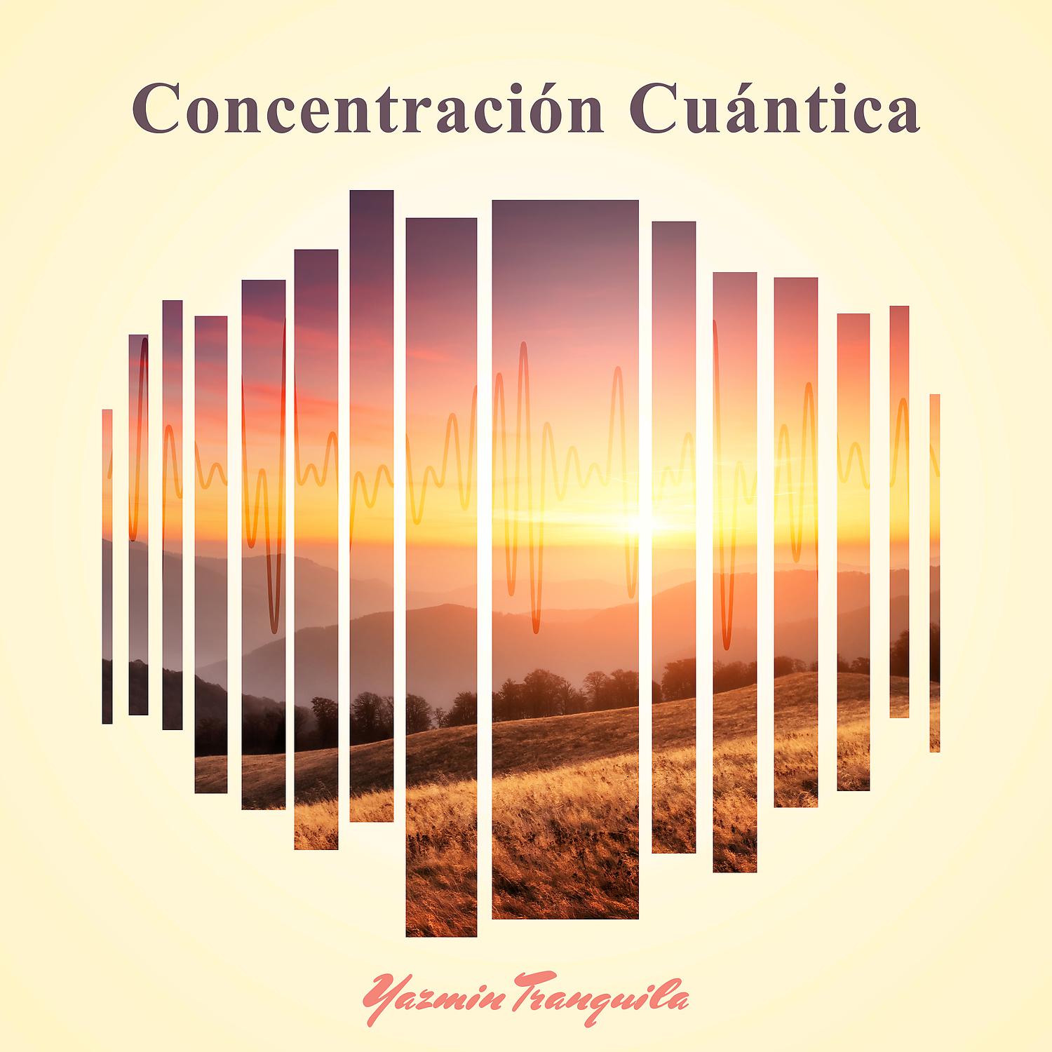 Постер альбома Concentracion Cuántica (432 Hz)