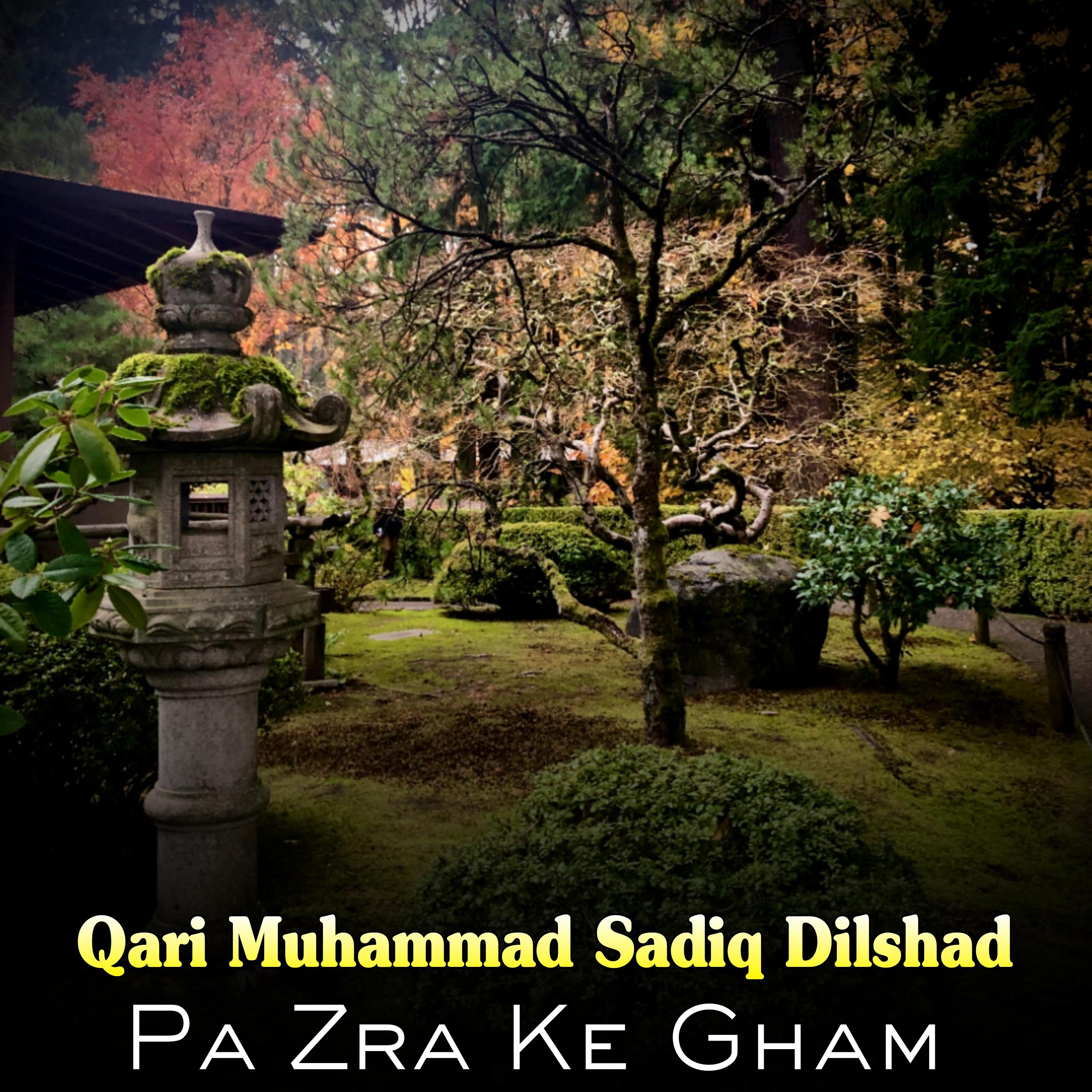 Постер альбома Pa Zra Ke Gham