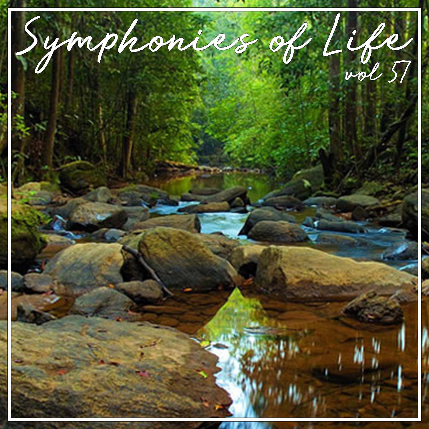 Постер альбома Symphonies of Life, Vol. 57 - Carulli: Guitar Concertos