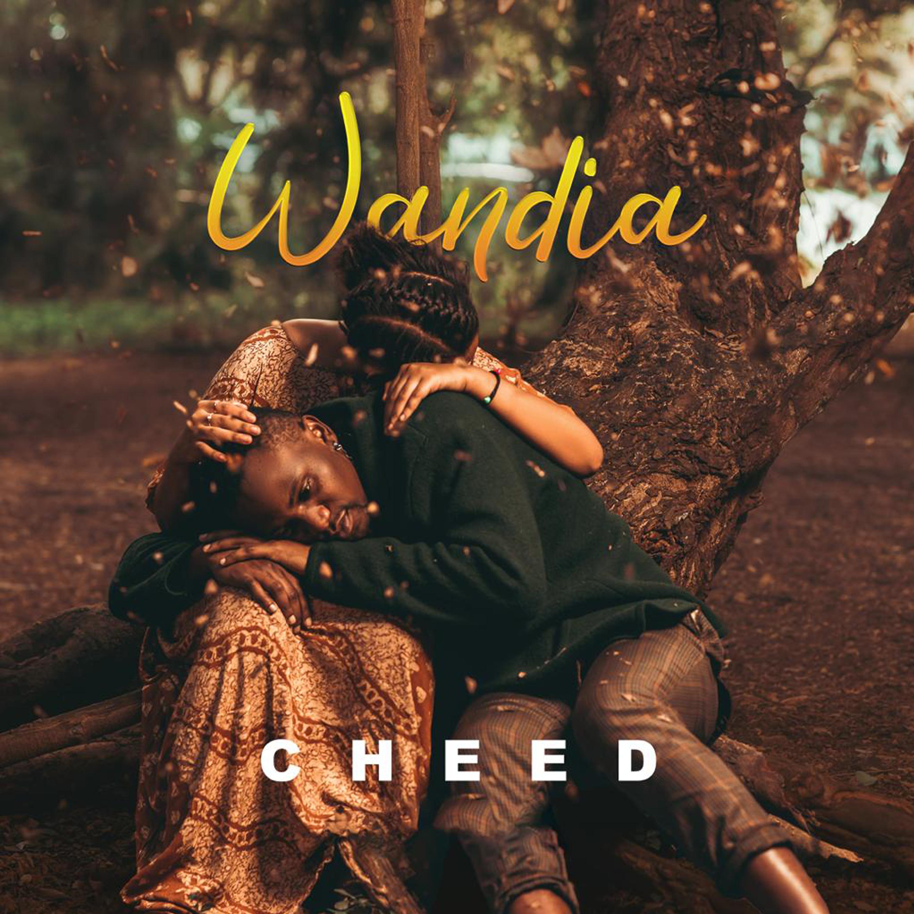 Постер альбома Wandia