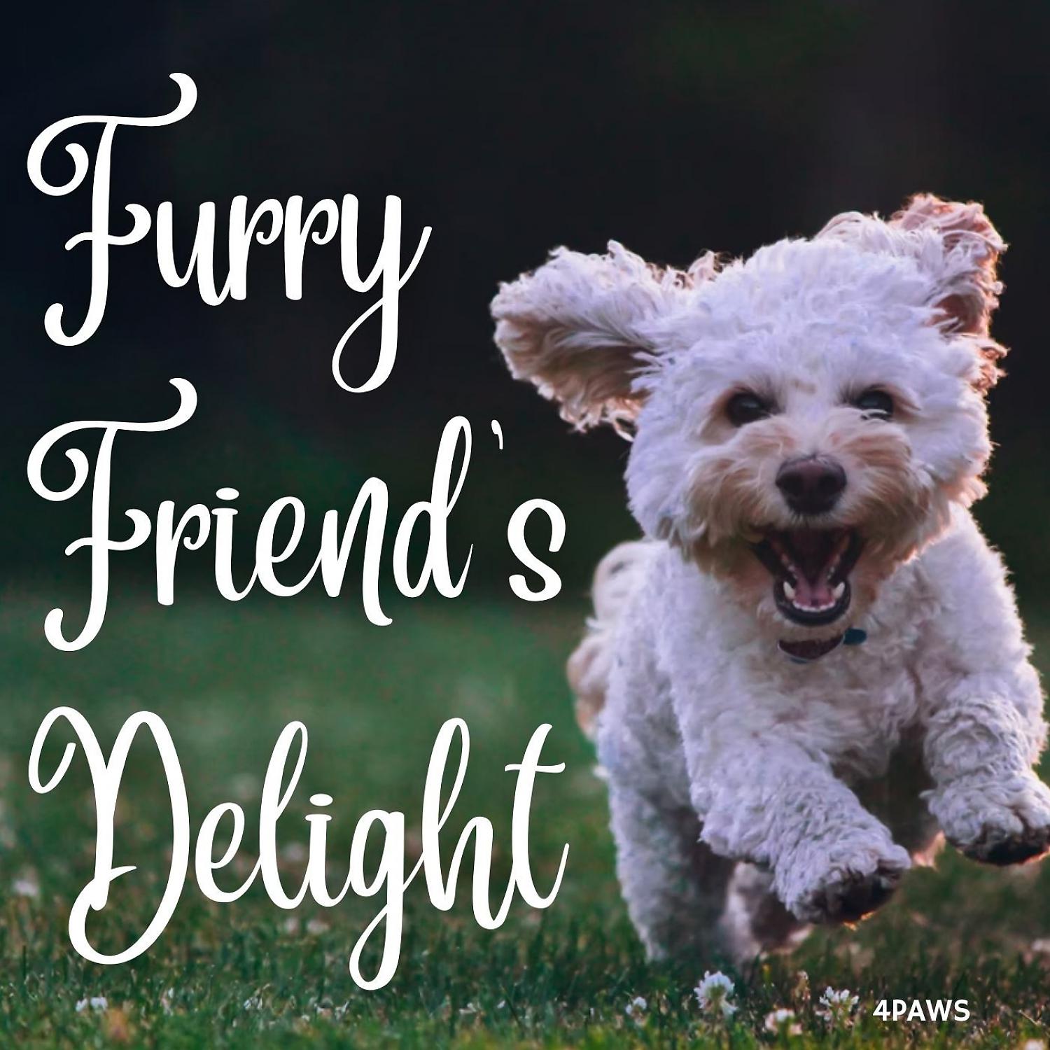 Постер альбома 4Paws: Furry Friend's Delight