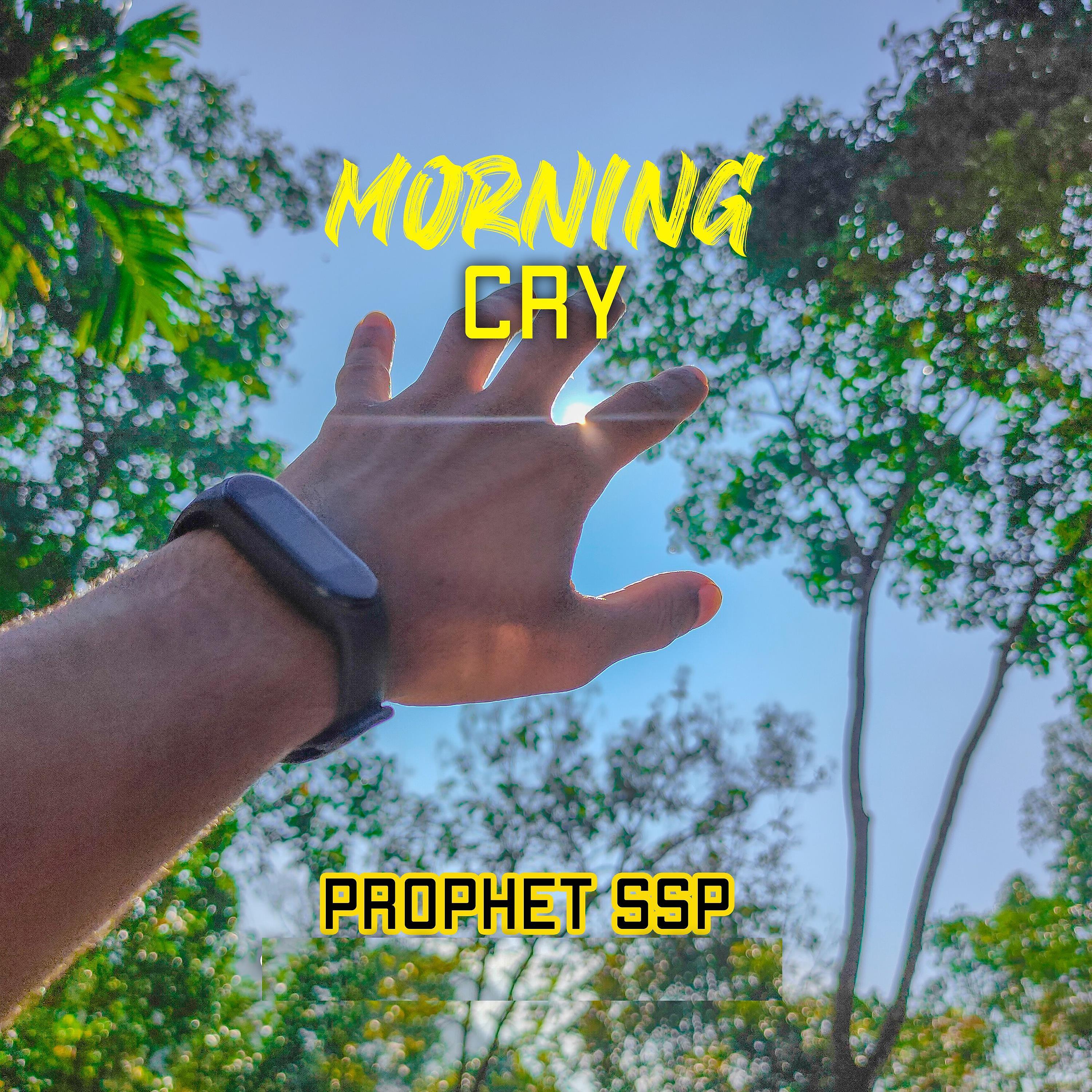 Постер альбома Morning Cry