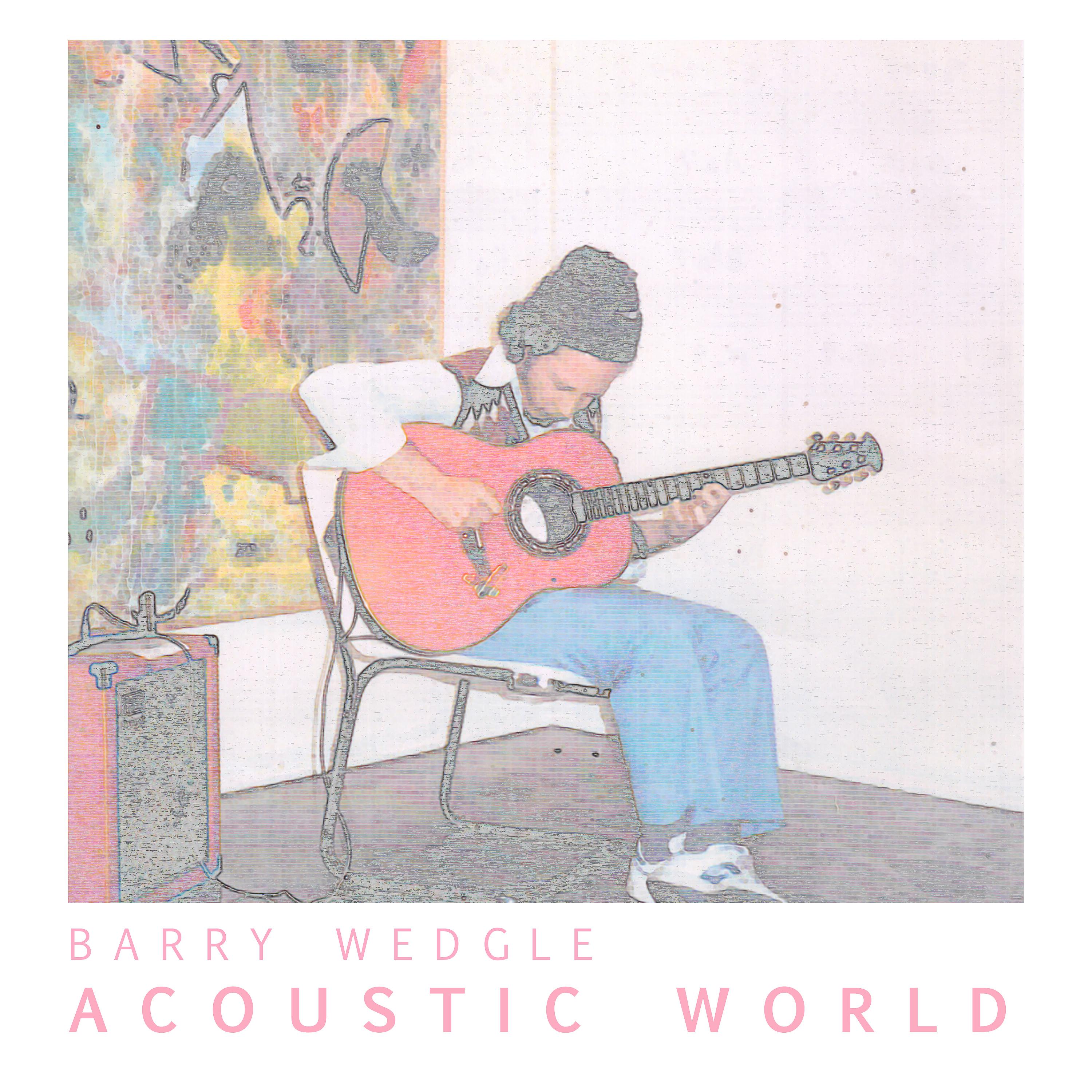 Постер альбома Acoustic World