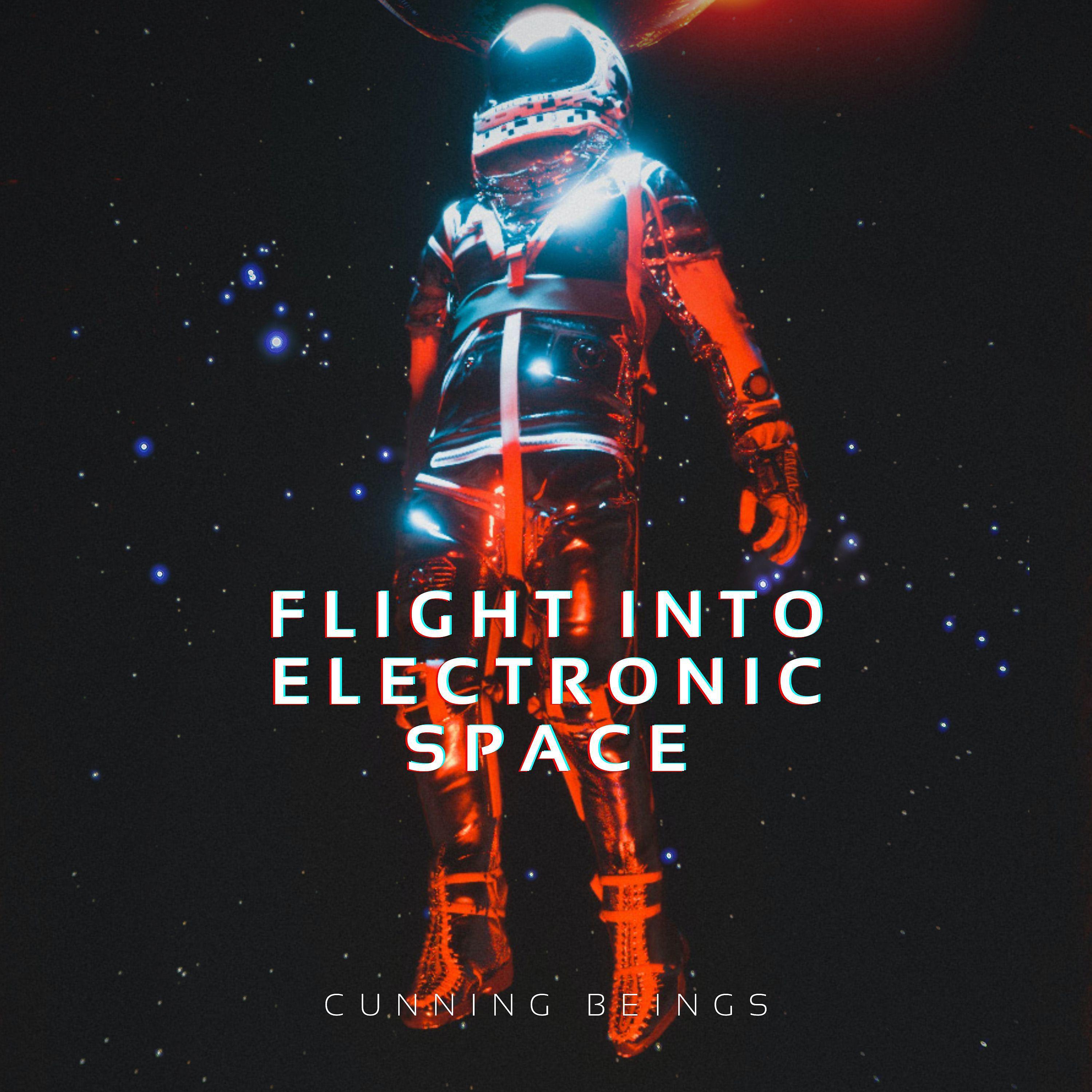 Постер альбома Flight into Electronic Space