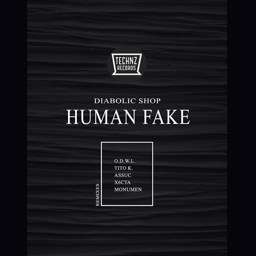 Постер альбома Human Fake