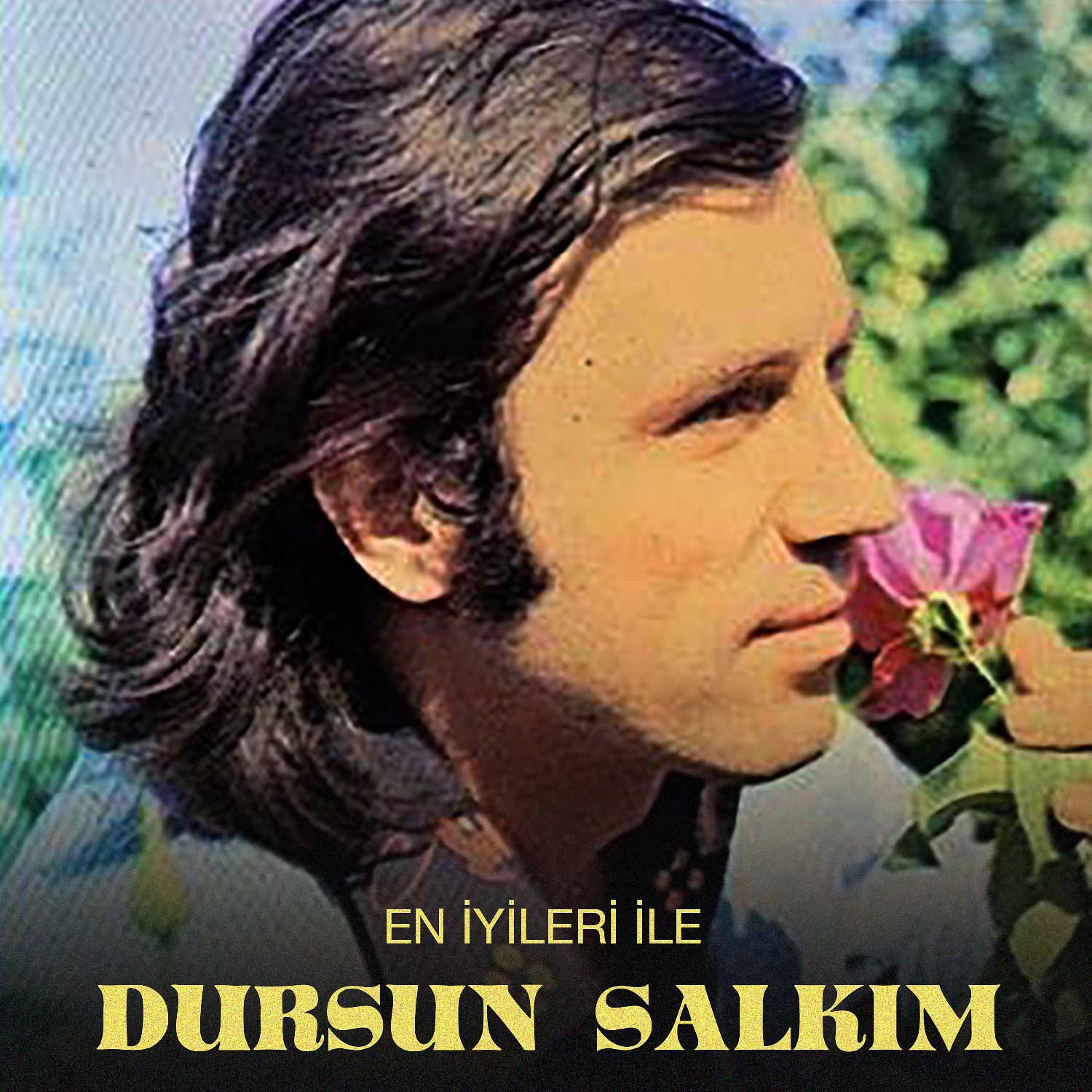 Постер альбома En İyileri İle Dursun Salkım