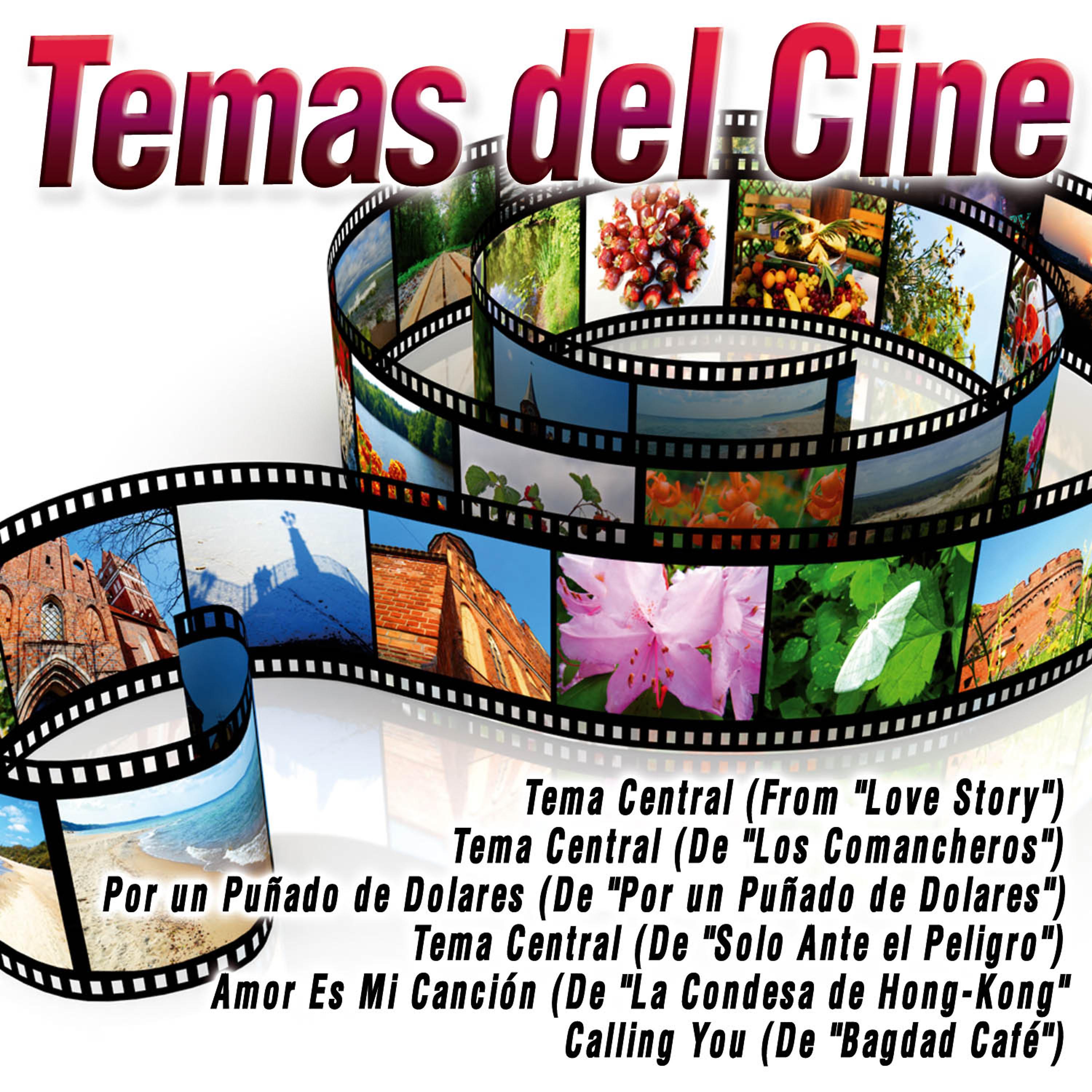 Постер альбома Temas del Cine