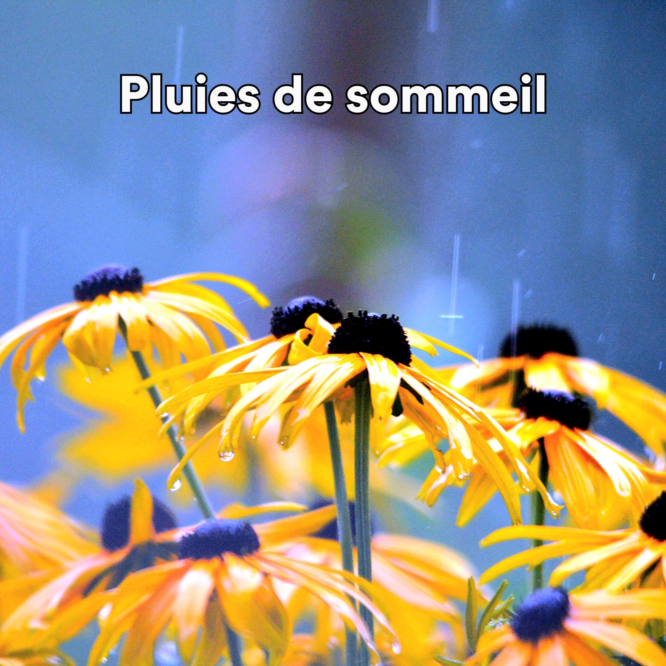 Постер альбома Pluies De Sommeil