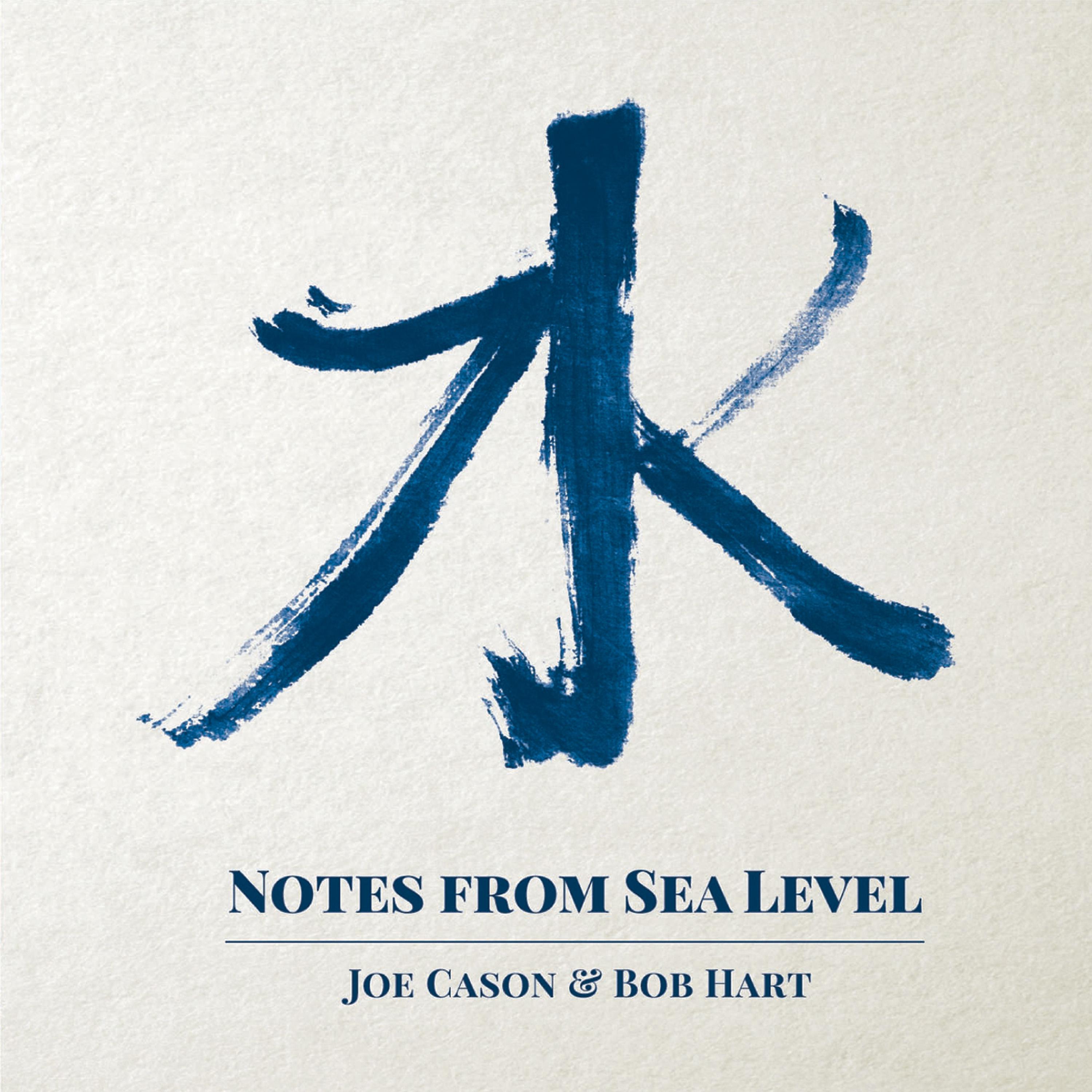 Постер альбома Notes from Sea Level