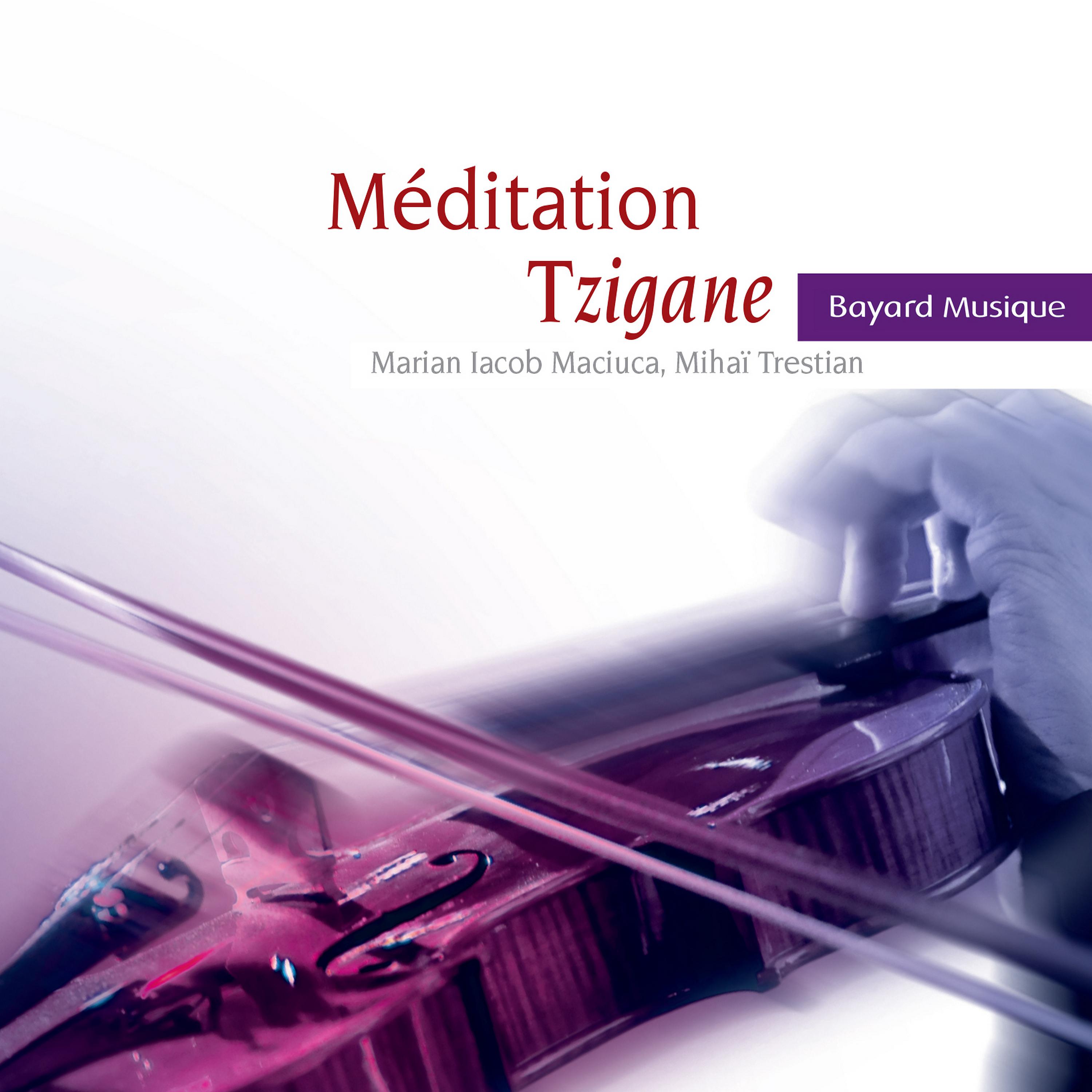 Постер альбома Méditation tzigane