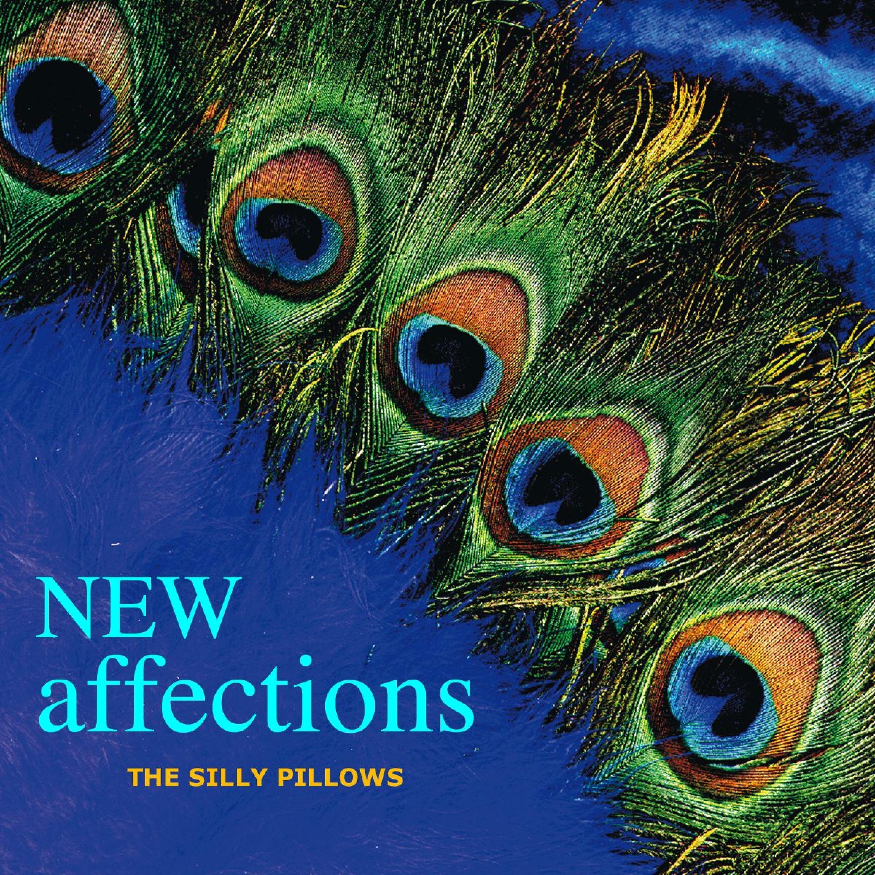 Постер альбома New Affections
