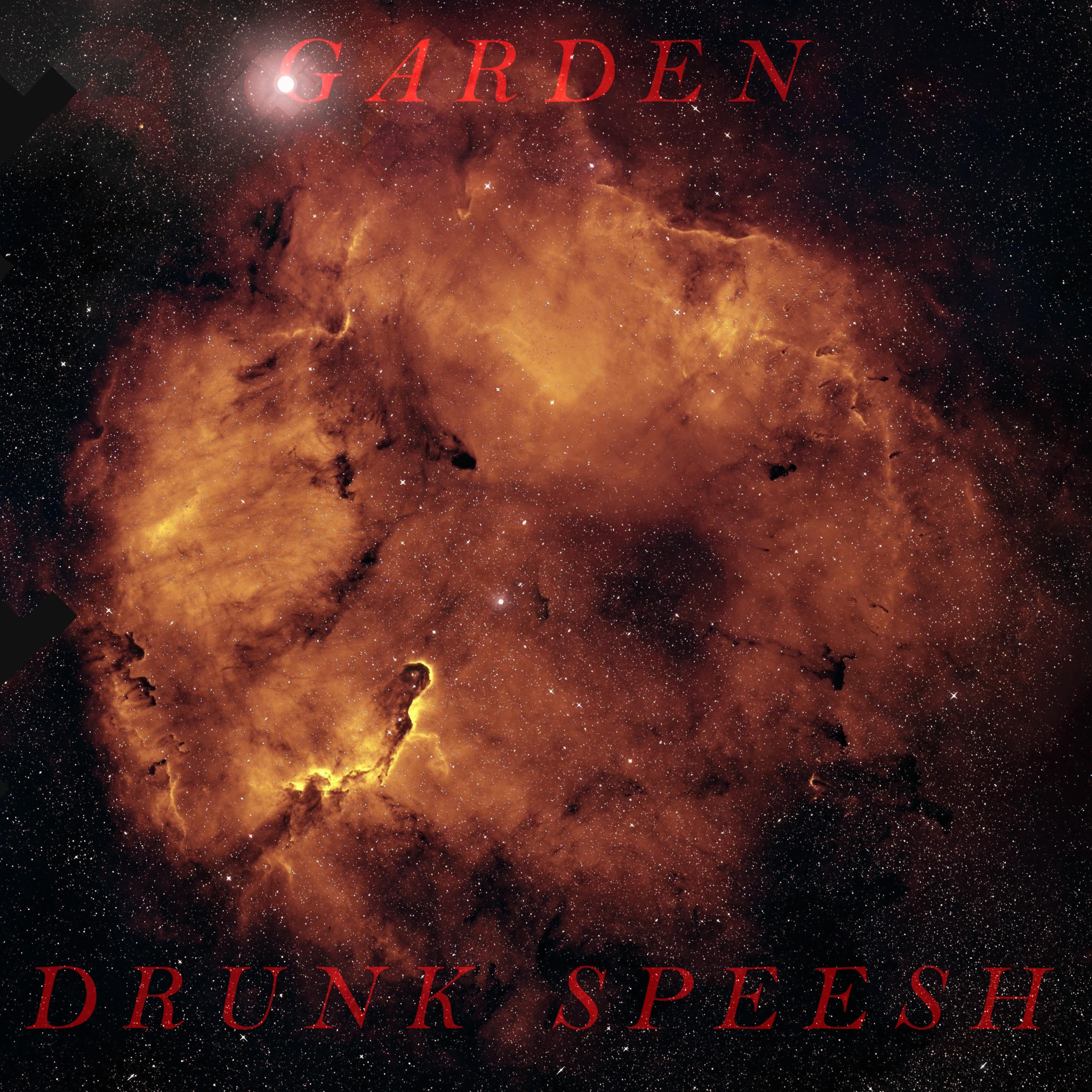 Постер альбома Drunk speesh