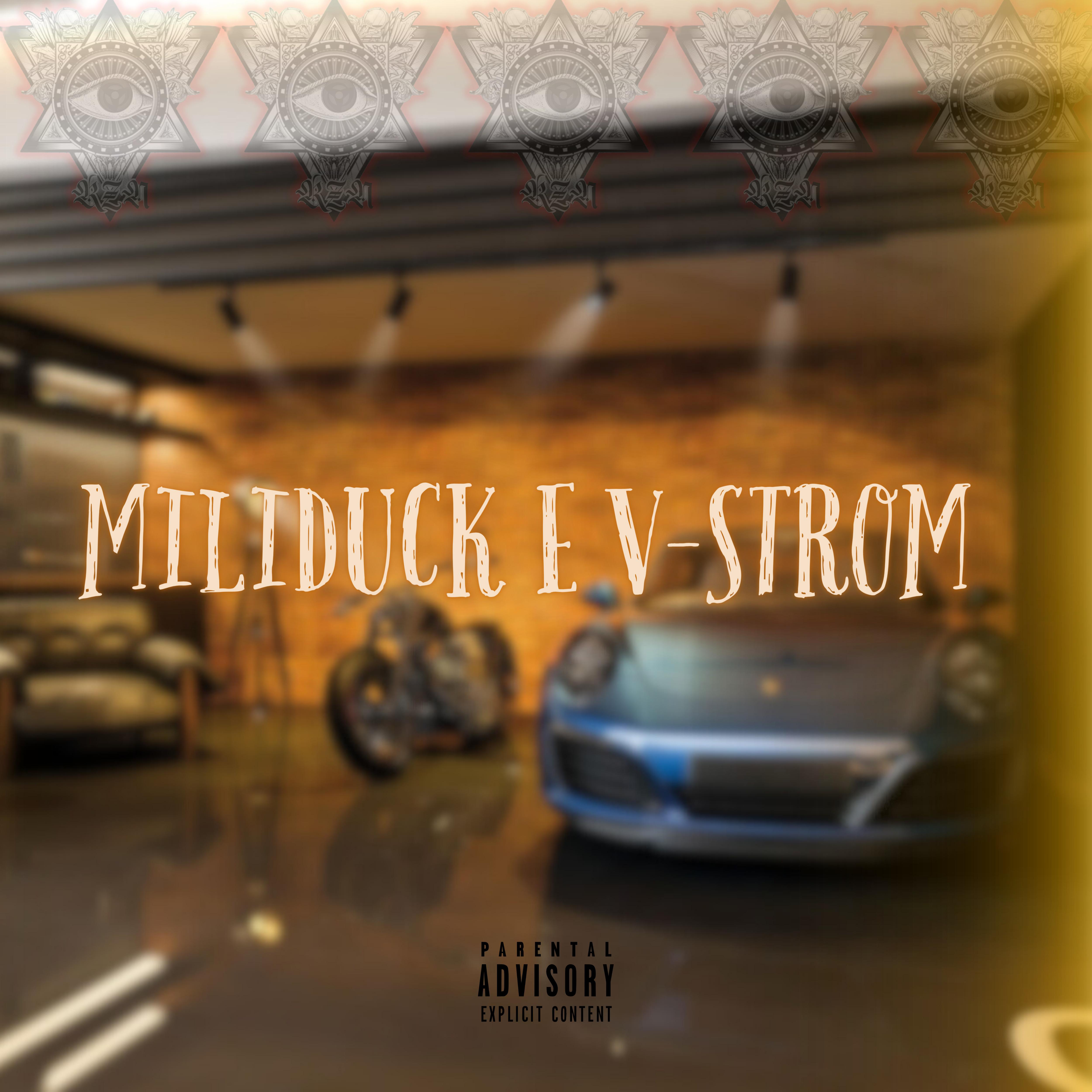 Постер альбома Miliduck e V-Strom