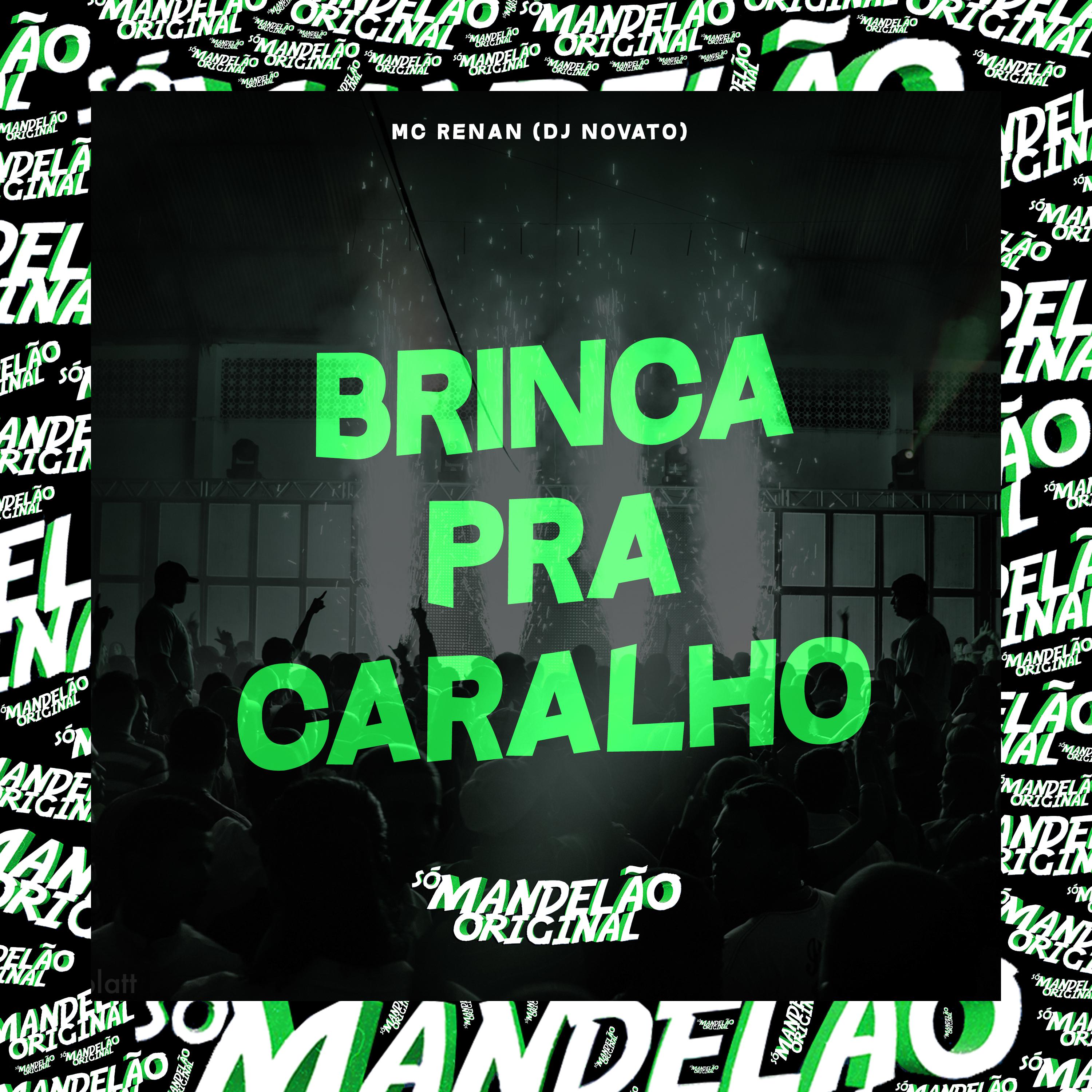Постер альбома Brinca pra Caralho