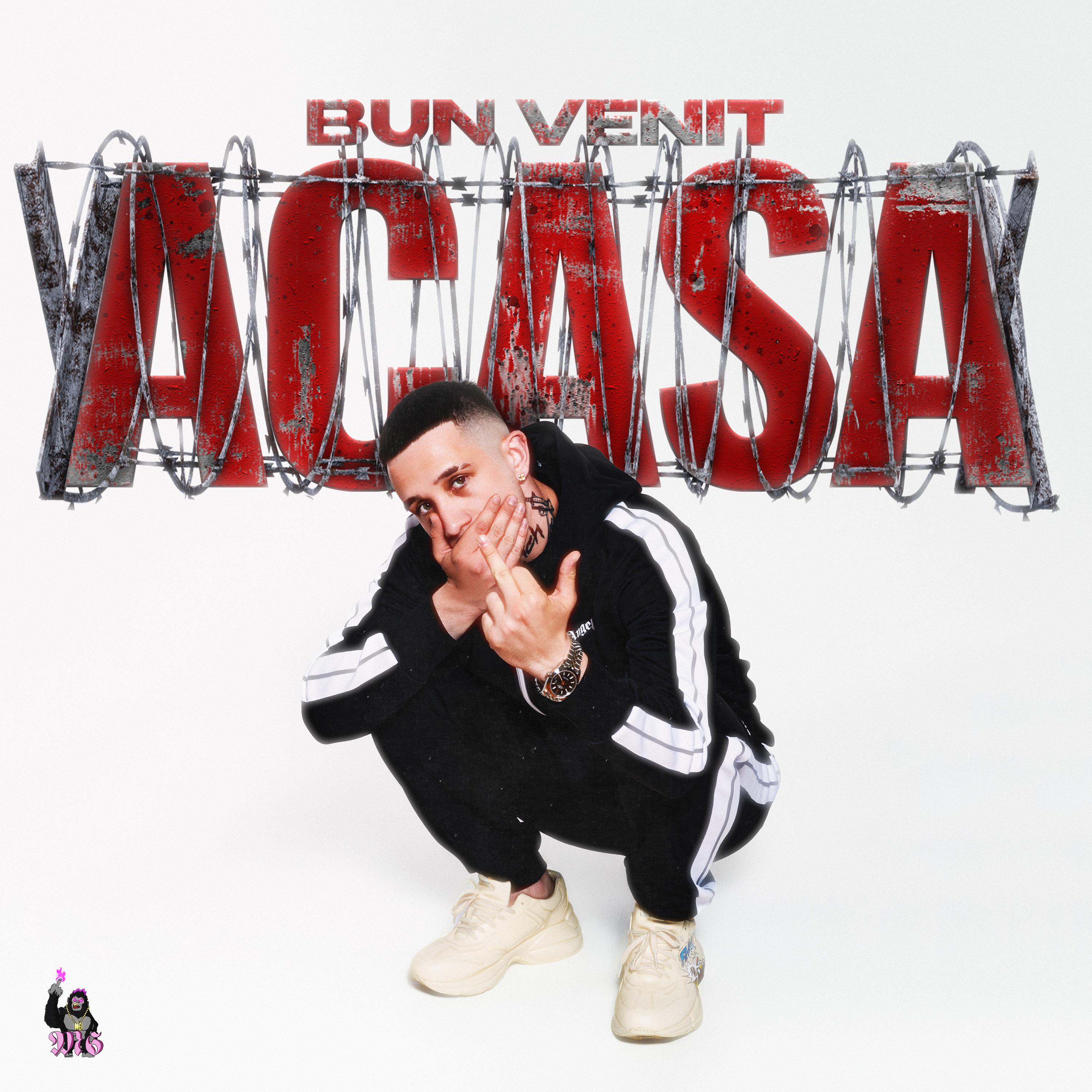 Постер альбома Bun Venit Acasa
