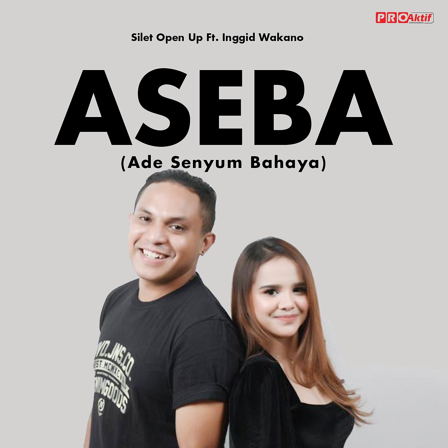 Постер альбома Aseba
