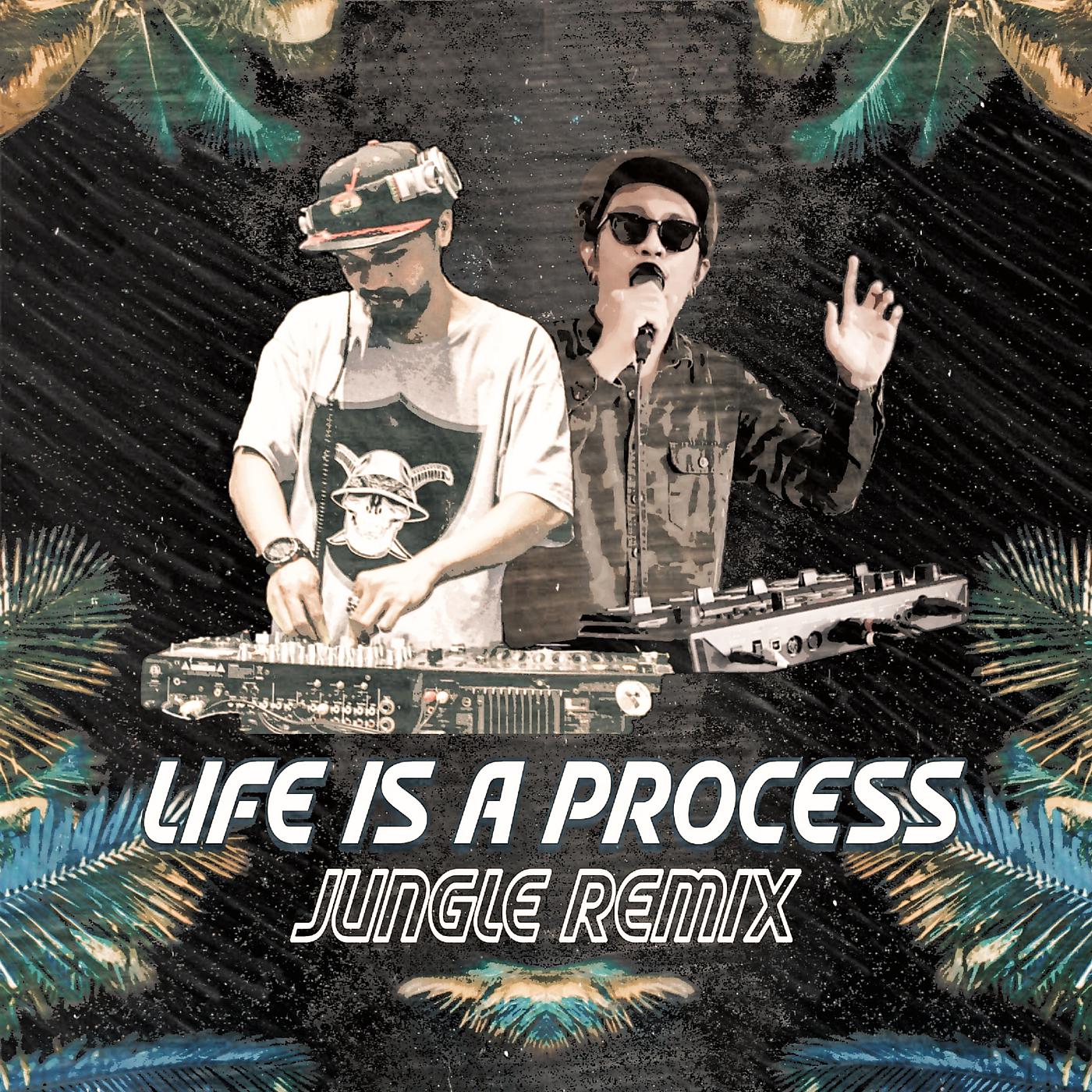 Постер альбома Life Is a Process (Jungle Remix)